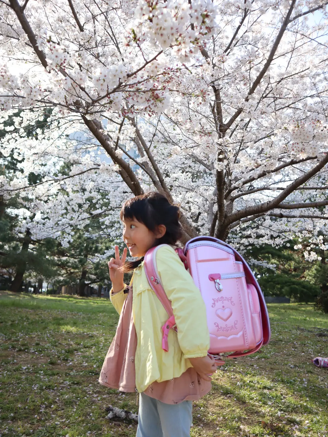 いくみ様完成品 ナプキン入れ