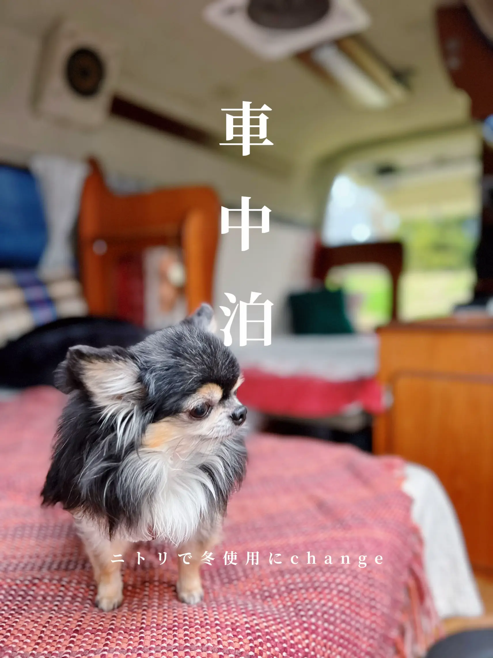 ホットブランケット「ぬくもり君」、バンライフや車中泊に｜車
