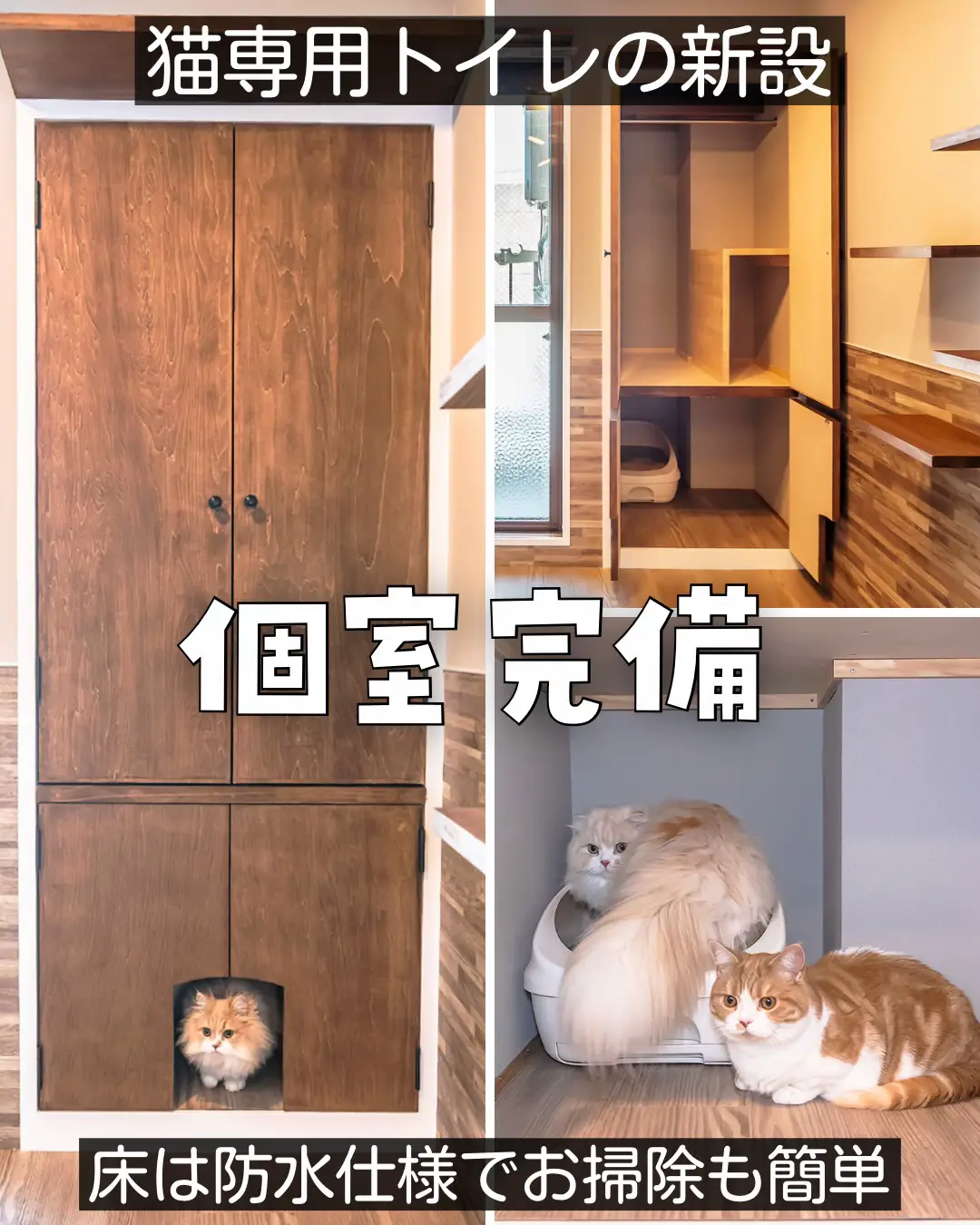 猫と暮らす家 | ねこ大家が投稿したフォトブック | Lemon8