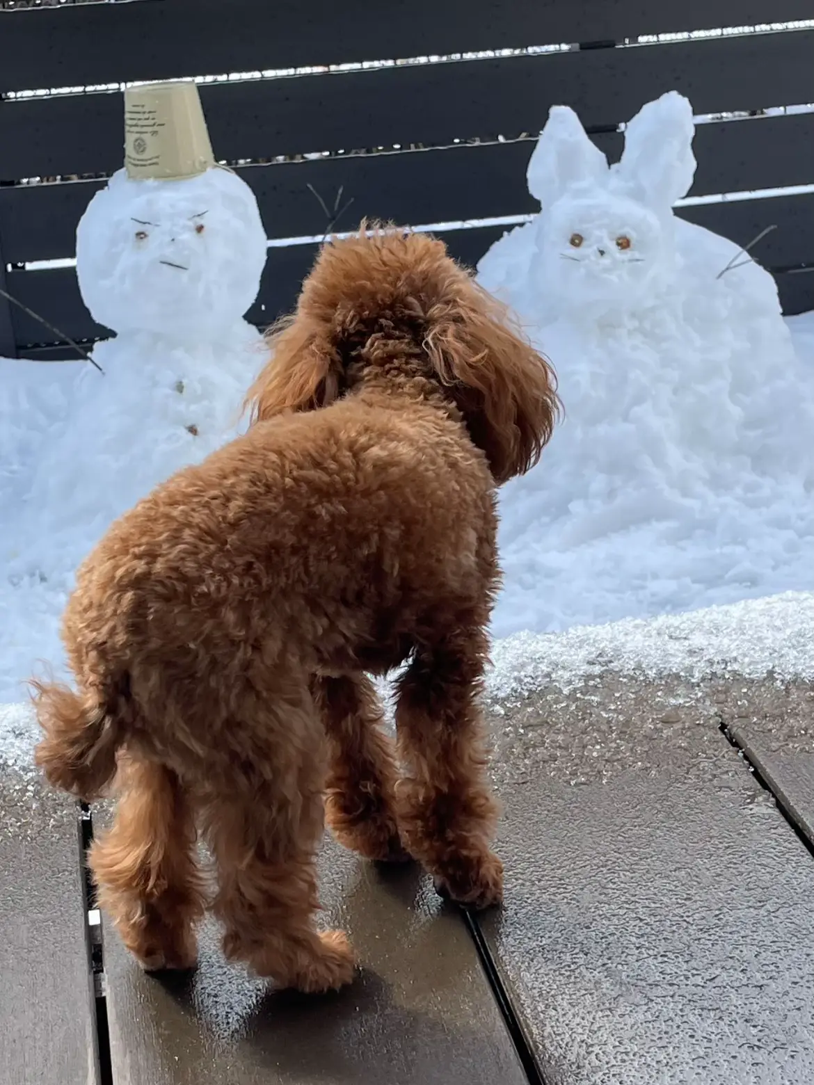 久しぶりに作ってみた☃🌨️❄️⛄️雪だるま | chichimoが投稿した