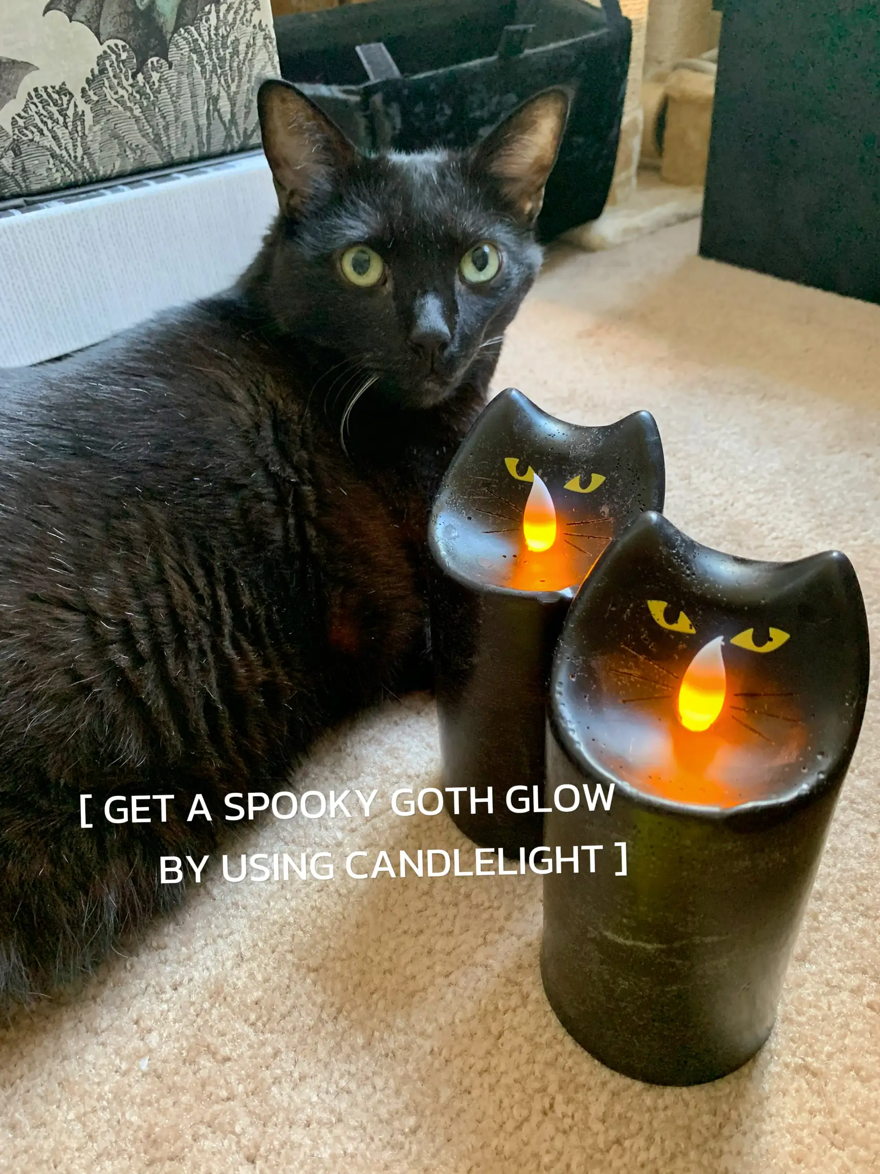 Manny's everyday gothic style tips 🖤, Gallery posted by 🐈‍⬛ Manny 🐈‍⬛