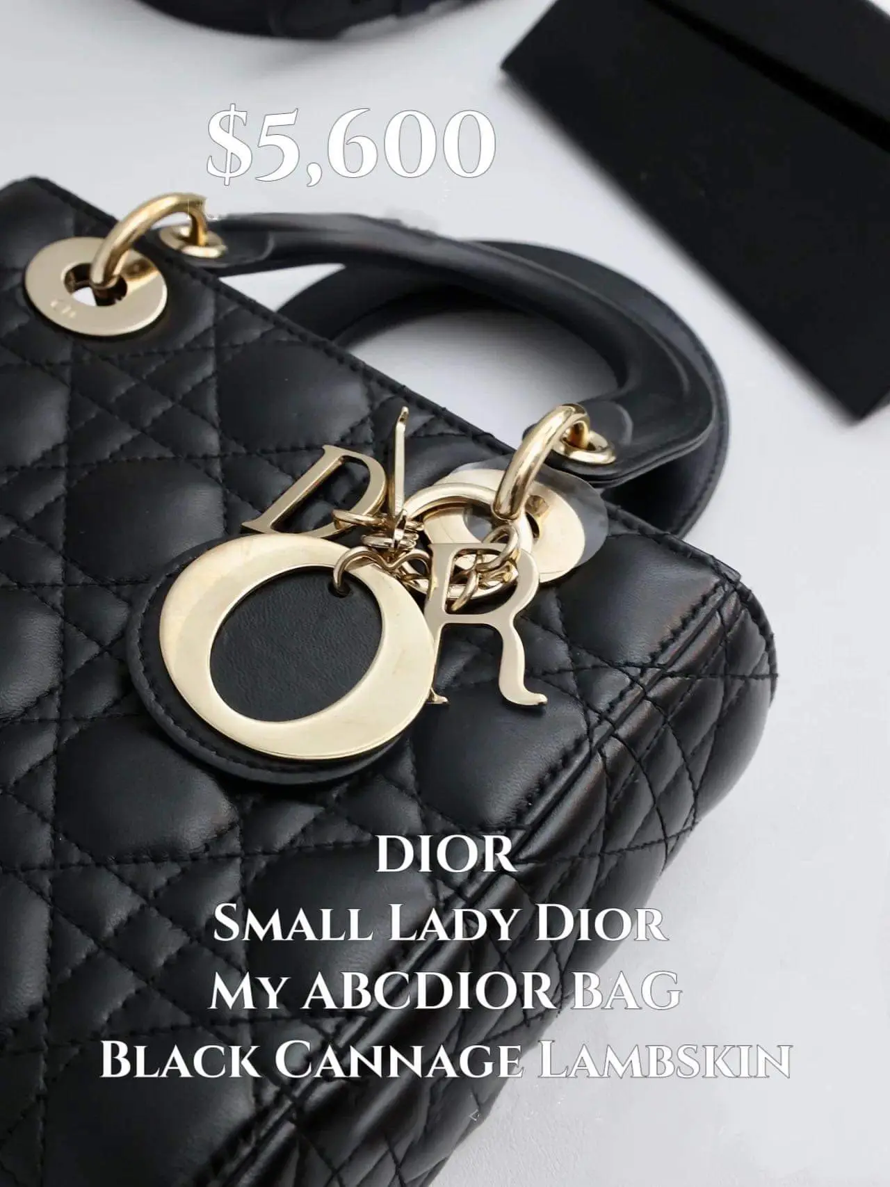 Small Lady Dior My ABCDior Bag Powder Beige Cannage Lambskin