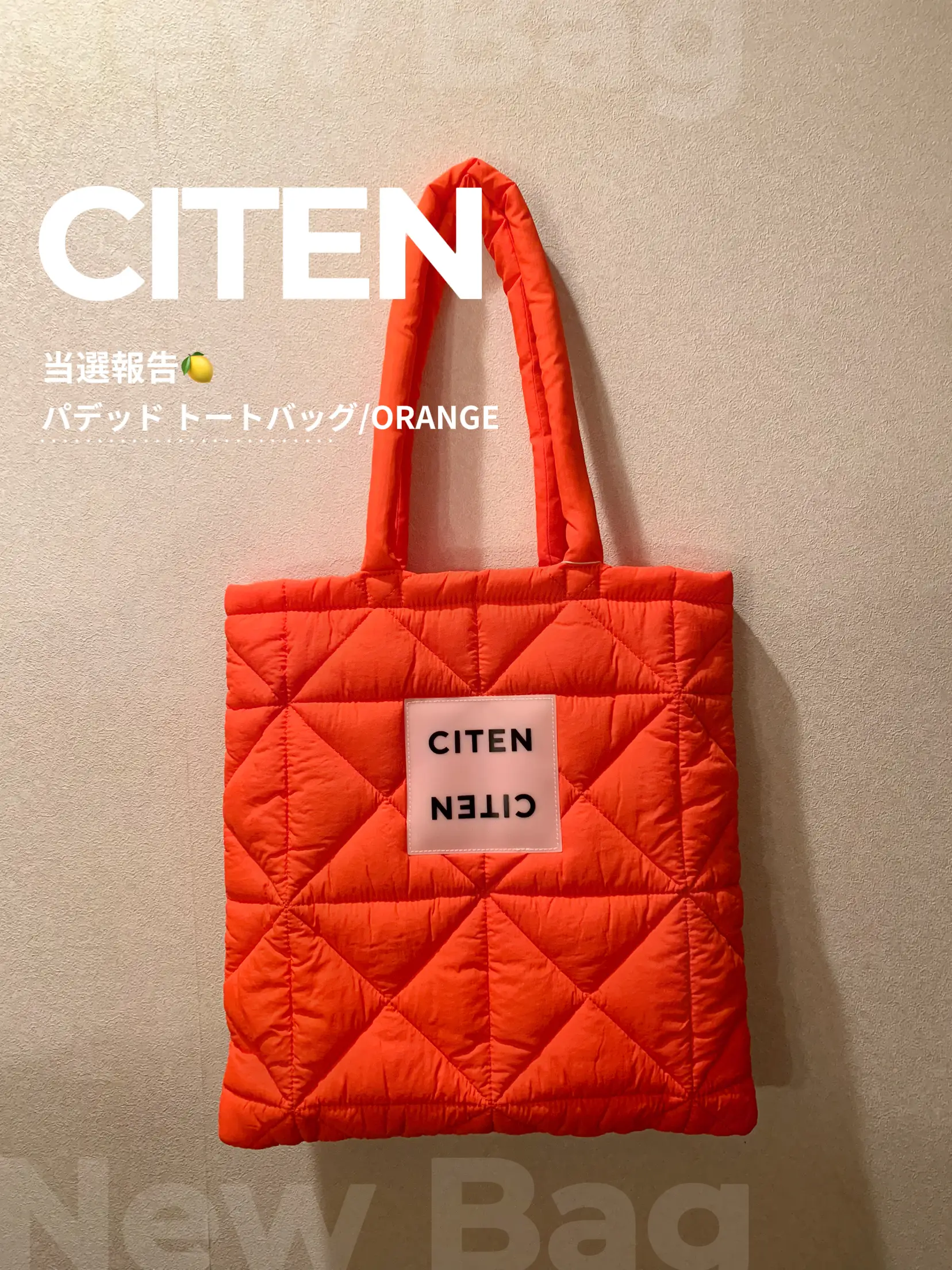SINSS トートバック(POPUP限定) Mr. CHEESECAKEが加賀美健とコラボ 