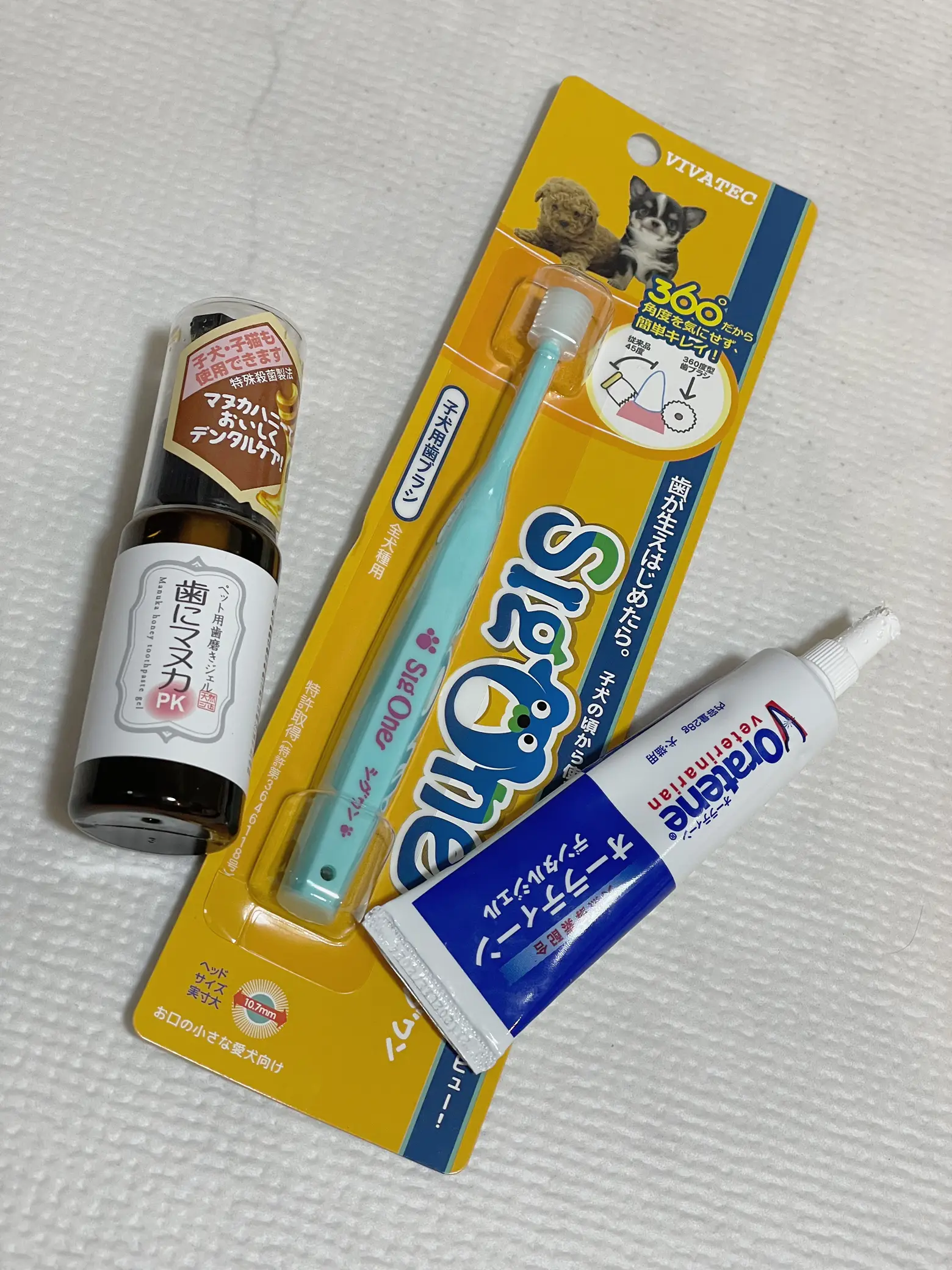 Canine Dental Hygiene Lemon8検索