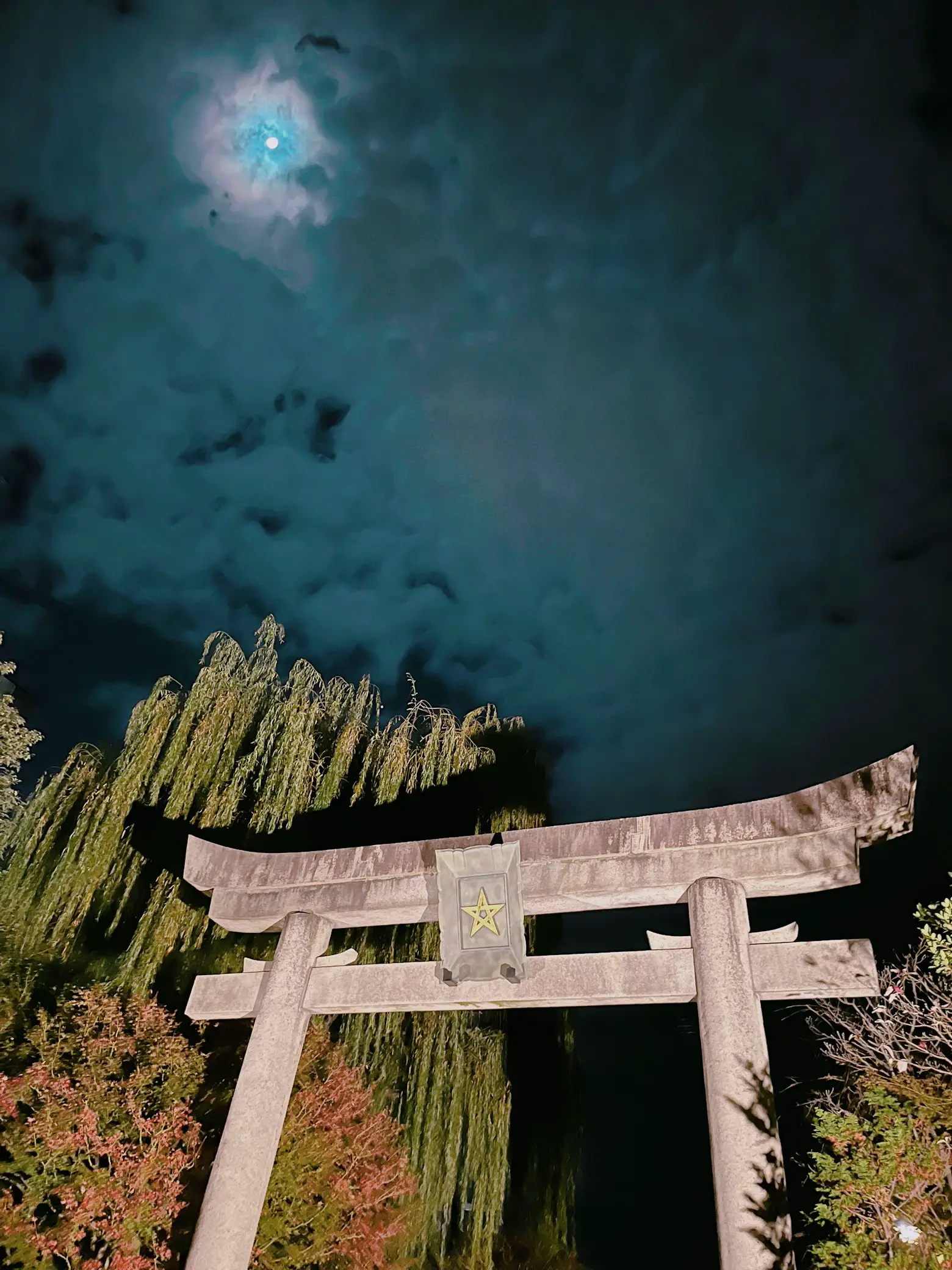 夜の晴明神社 | セキが投稿したフォトブック | Lemon8