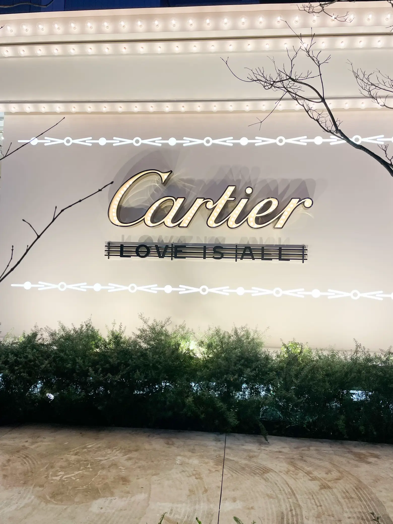 Omotesando Cartier Gorgeous and glittering tree and