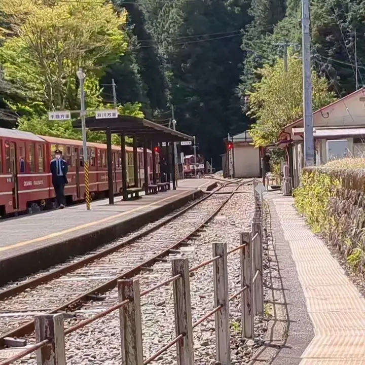 大井川鉄道 アブト式観光列車