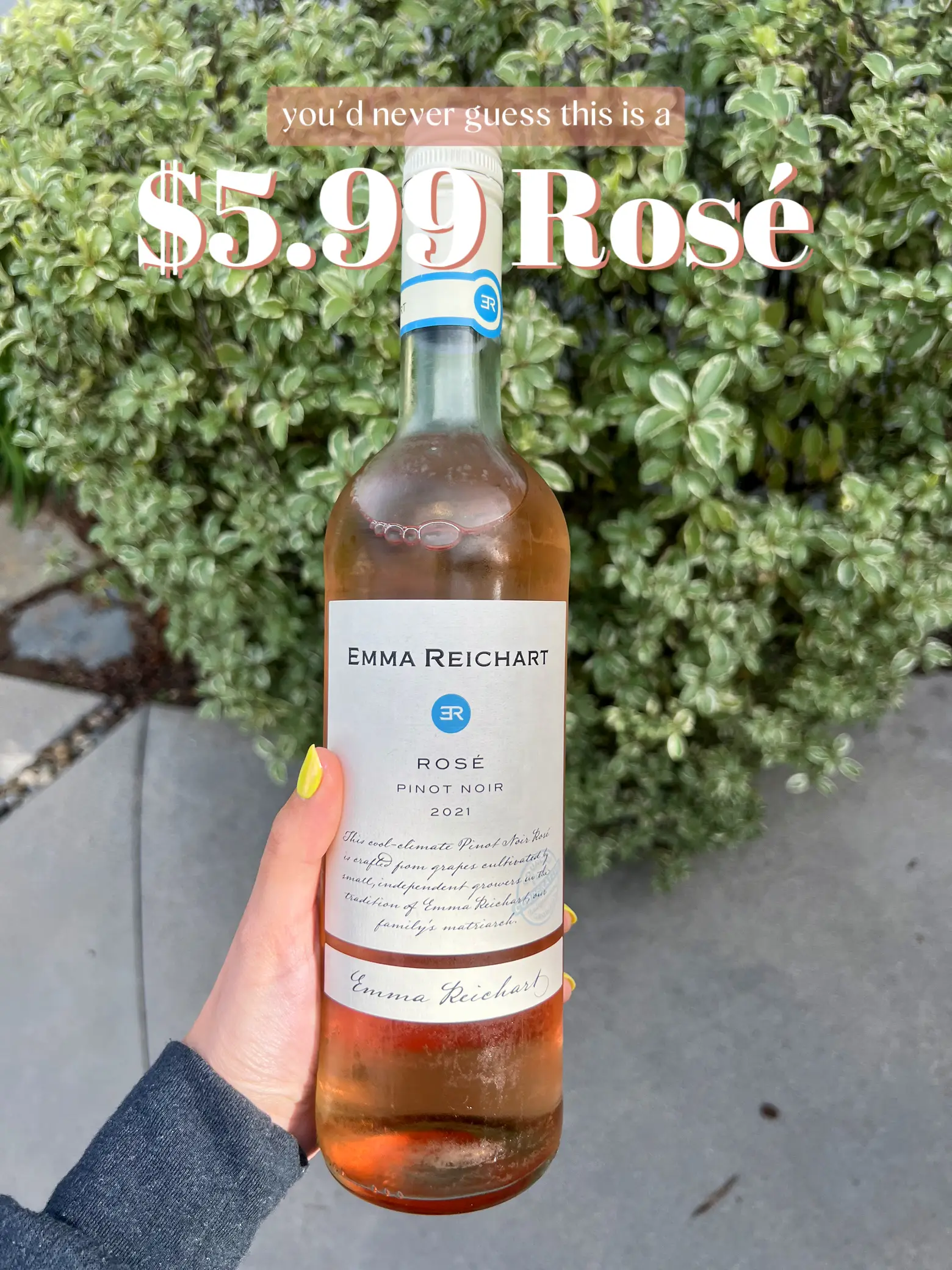 YOU NEED THIS $5.99 ROSÉ FOR SUMMER! 💕🍷👀 | Gallery posted by Molly ◡̈ |  Lemon8