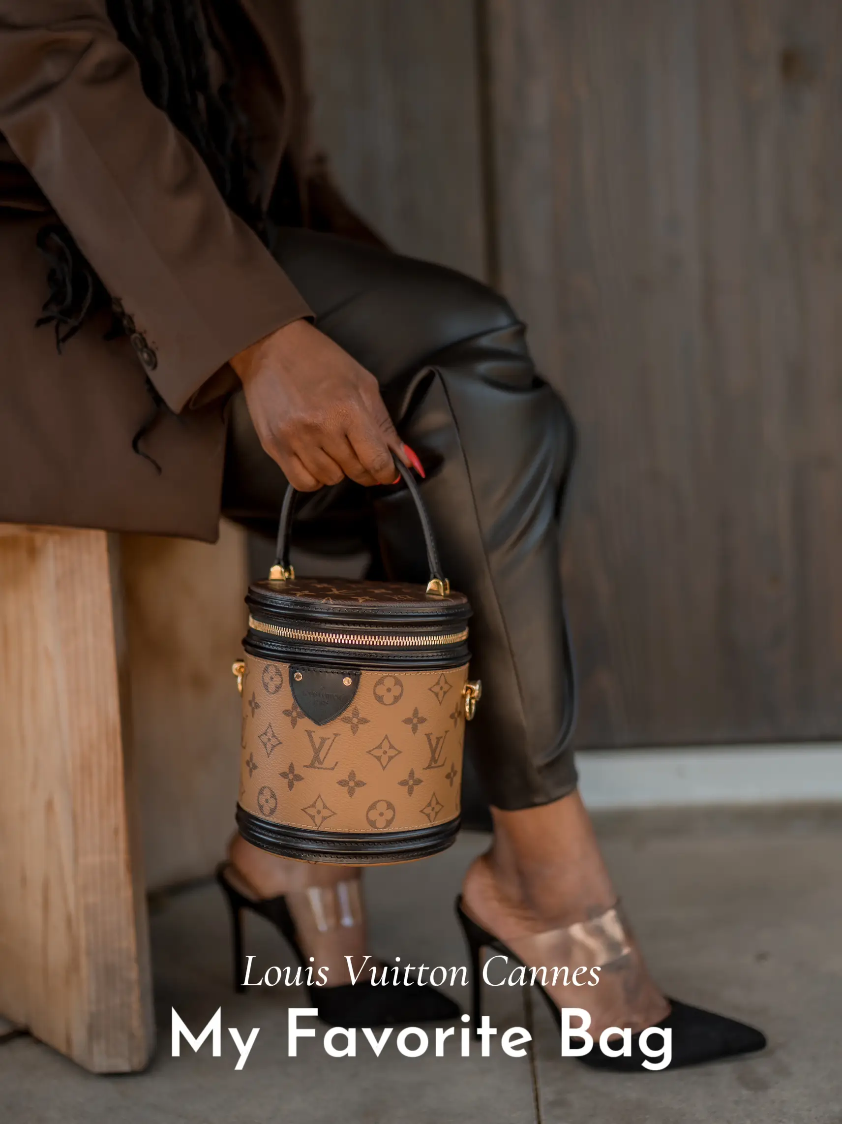 Louis Vuitton Cannes Handbag