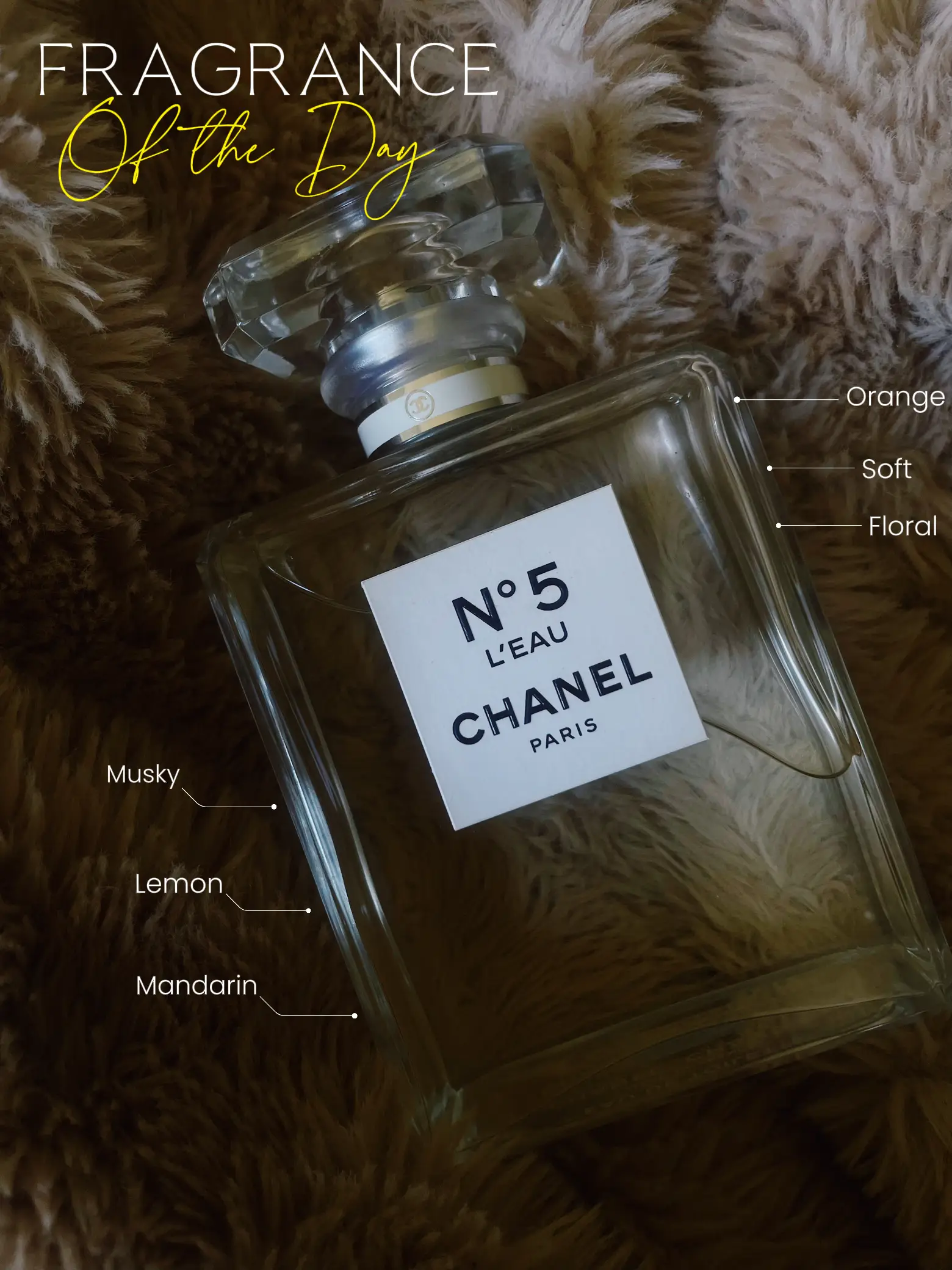 Chanel 5 perfume online macys