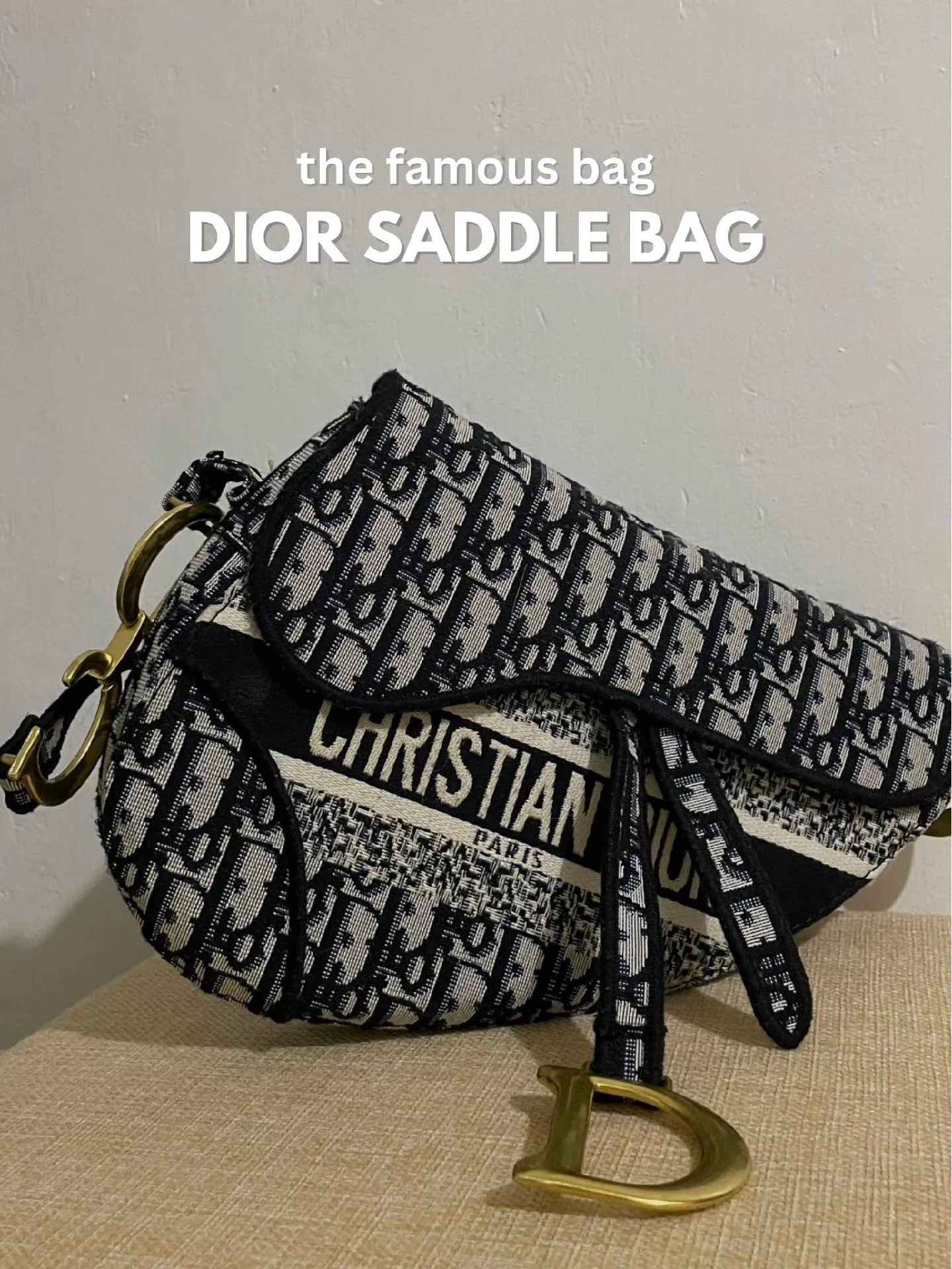 Dior famous bag hot sale