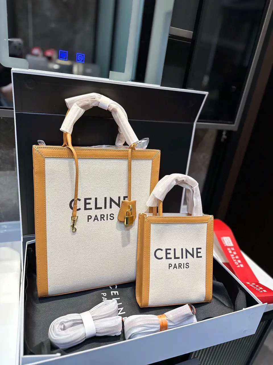 CELINE MINI VERTICAL CABAS TOTE  Celine Bag Unboxing and Review