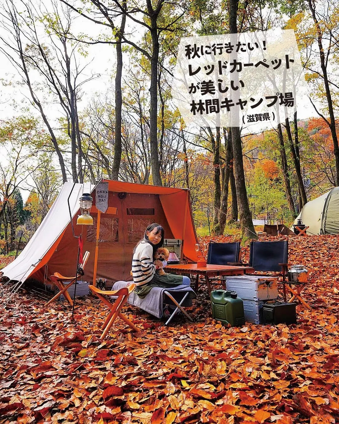 【滋賀】🍁レッドカーペット🍁が美しい静かな林間キャンプ場の画像 (0枚目)