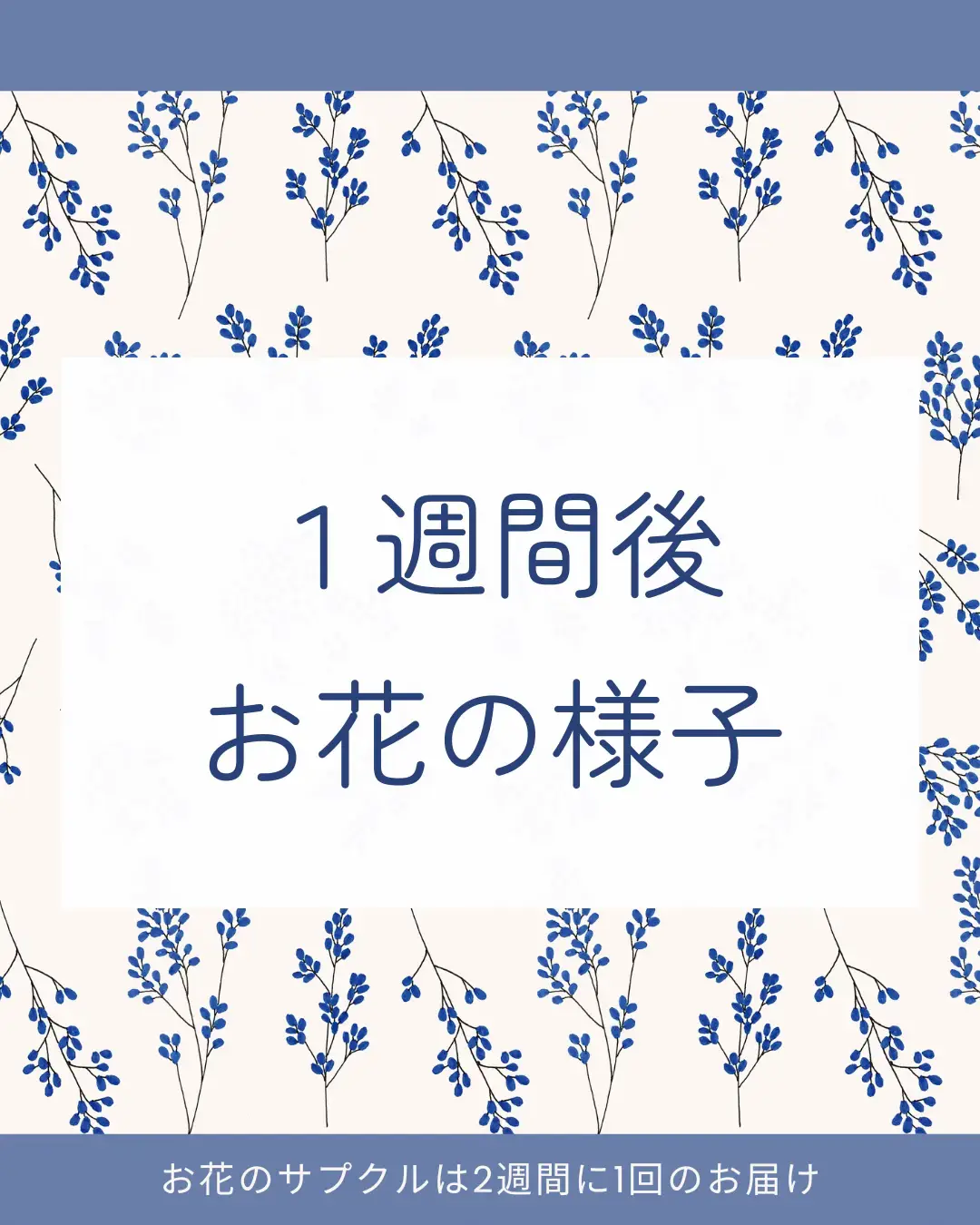 北海道のママは要チェック！お花のパワーゲット！ | はな@トドック