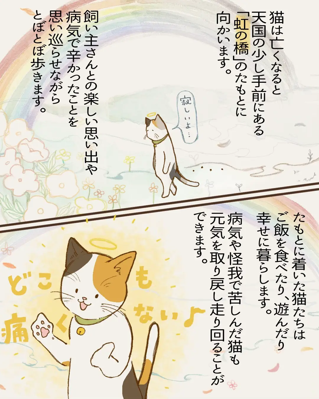 🌈虹の橋の物語 | ねこ大家が投稿したフォトブック | Lemon8