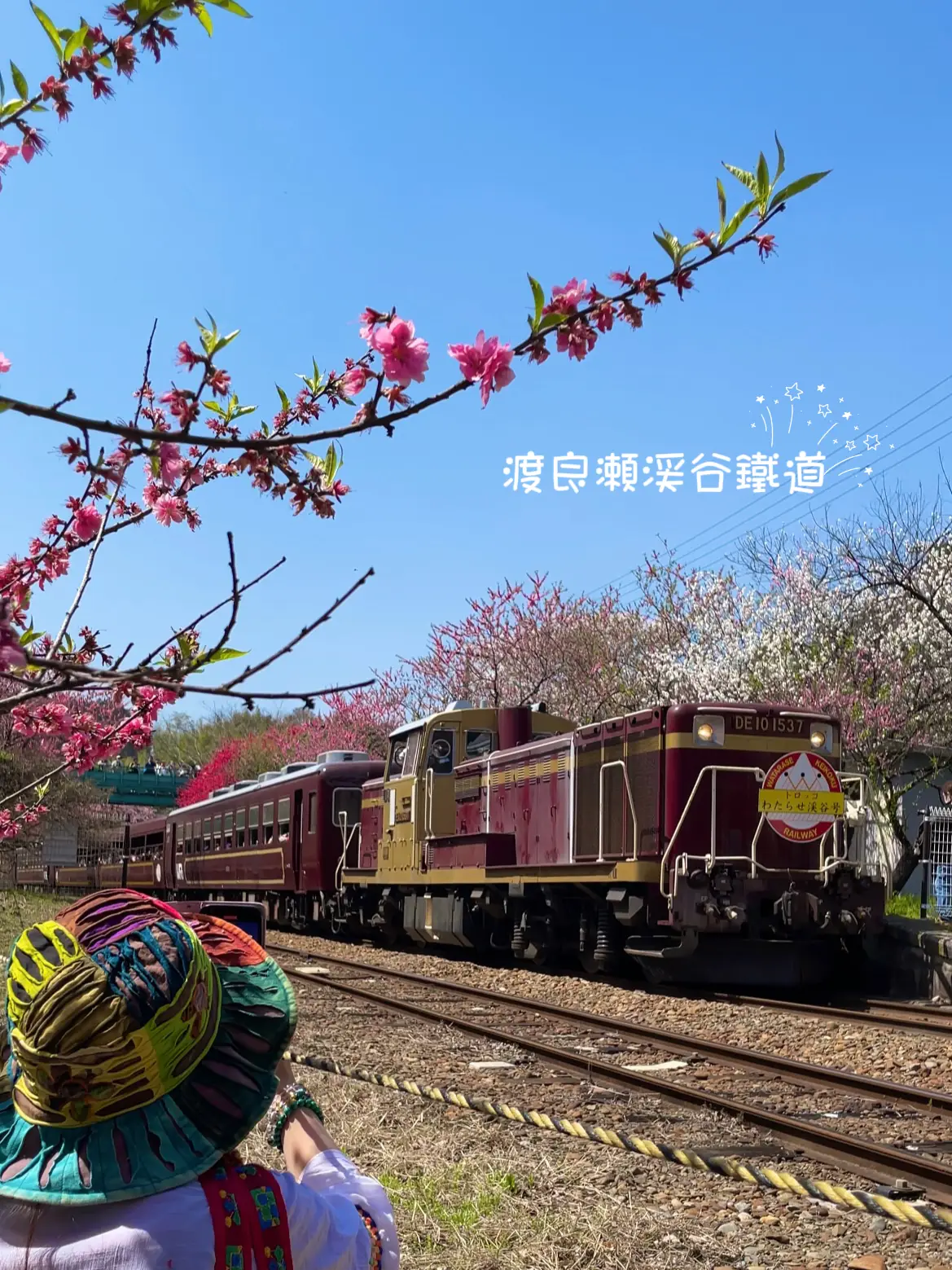 🚂トロッコ列車💨で日帰り旅行🌸渡良瀬渓谷鐵道満喫🤗 | 🦎   ゆこ   🦎の投稿動画 | Lemon8