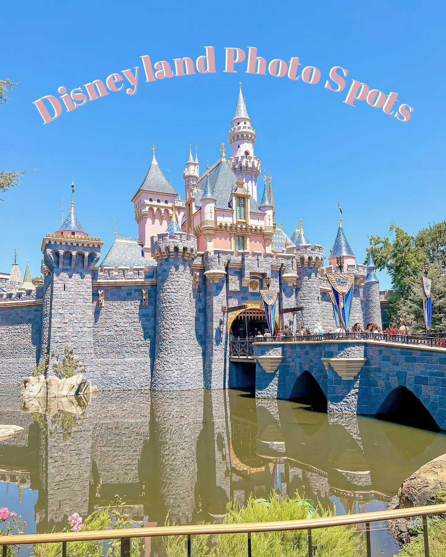 Disneyland Photo Spots✨🌸's images