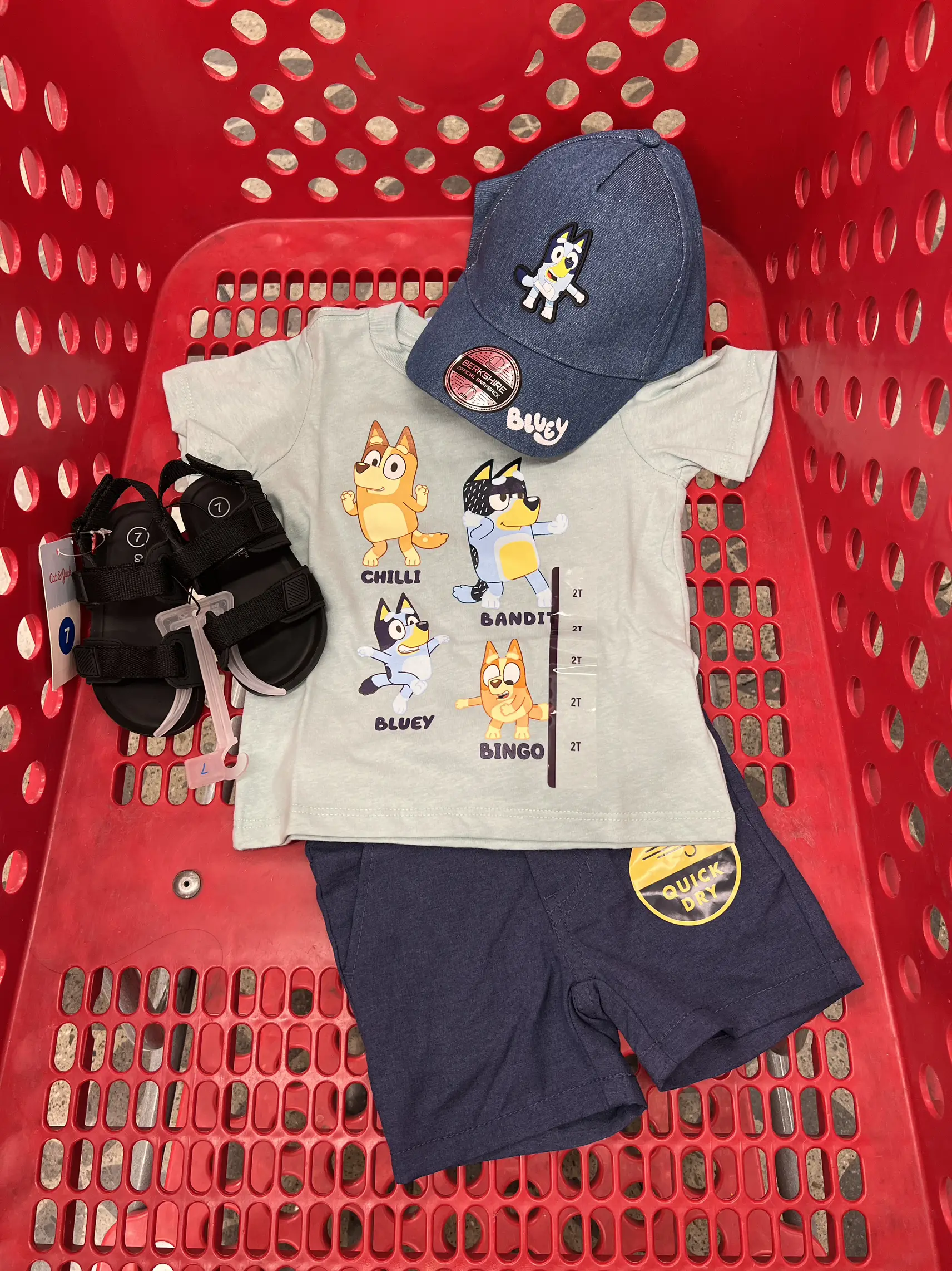 Toddler Boy Bluey Outfit of The Day - Lemon8 Search