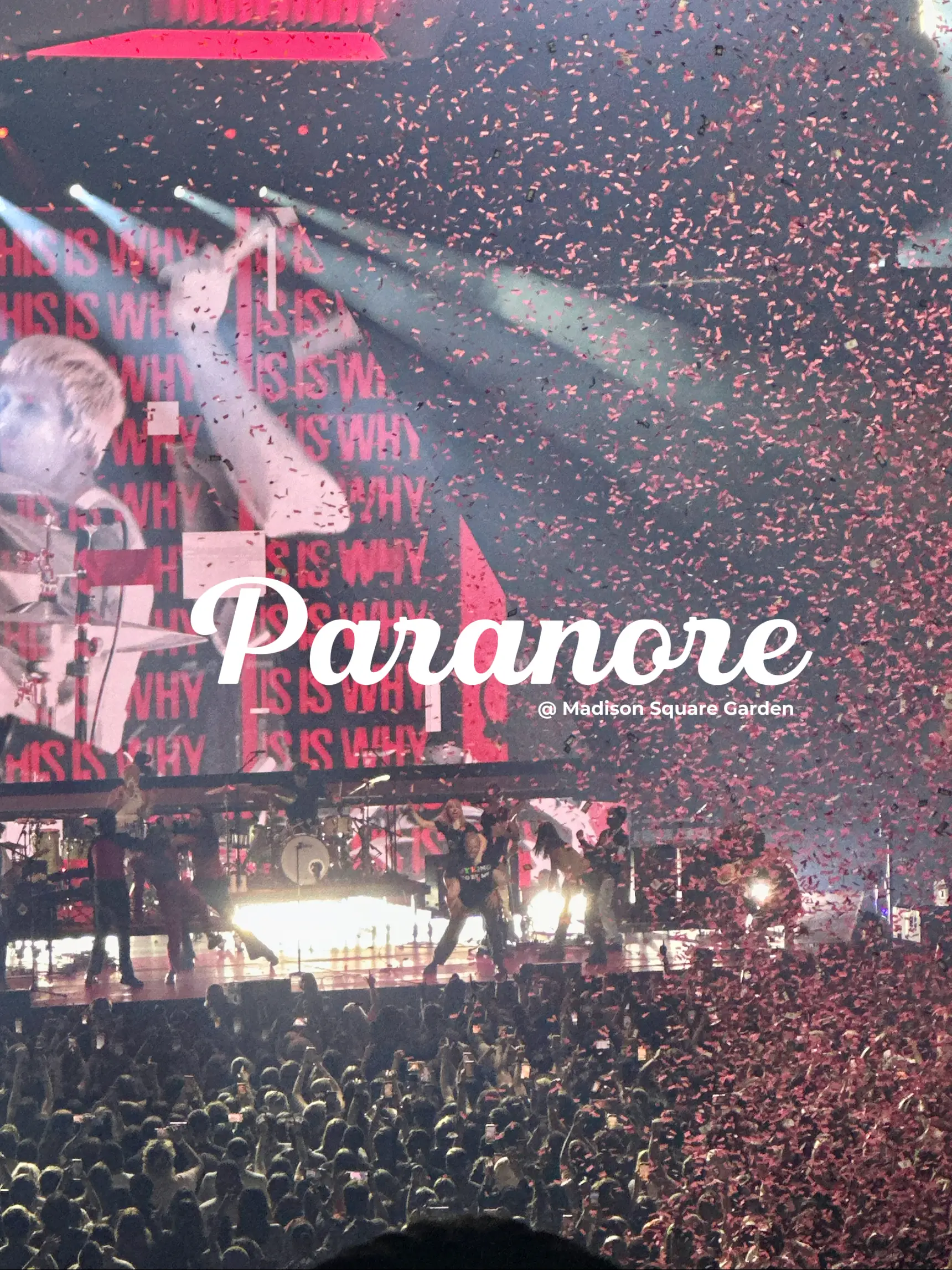 Cute Paramore fan art - Brand New Eyes  Paramore, Paramore wallpaper,  Paramore concert