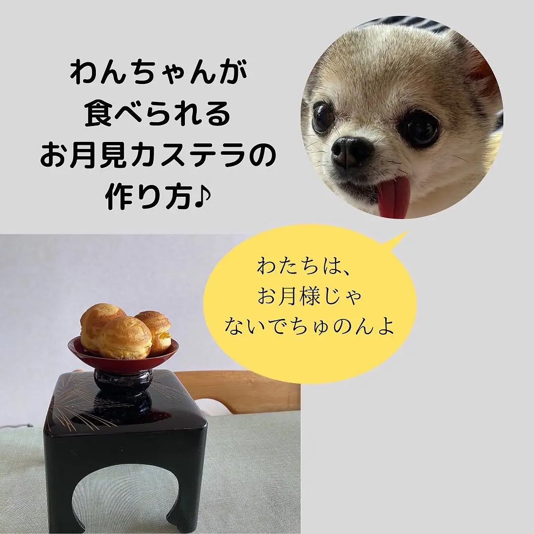 Easy with a takoyaki machine! How to make castella for dogs