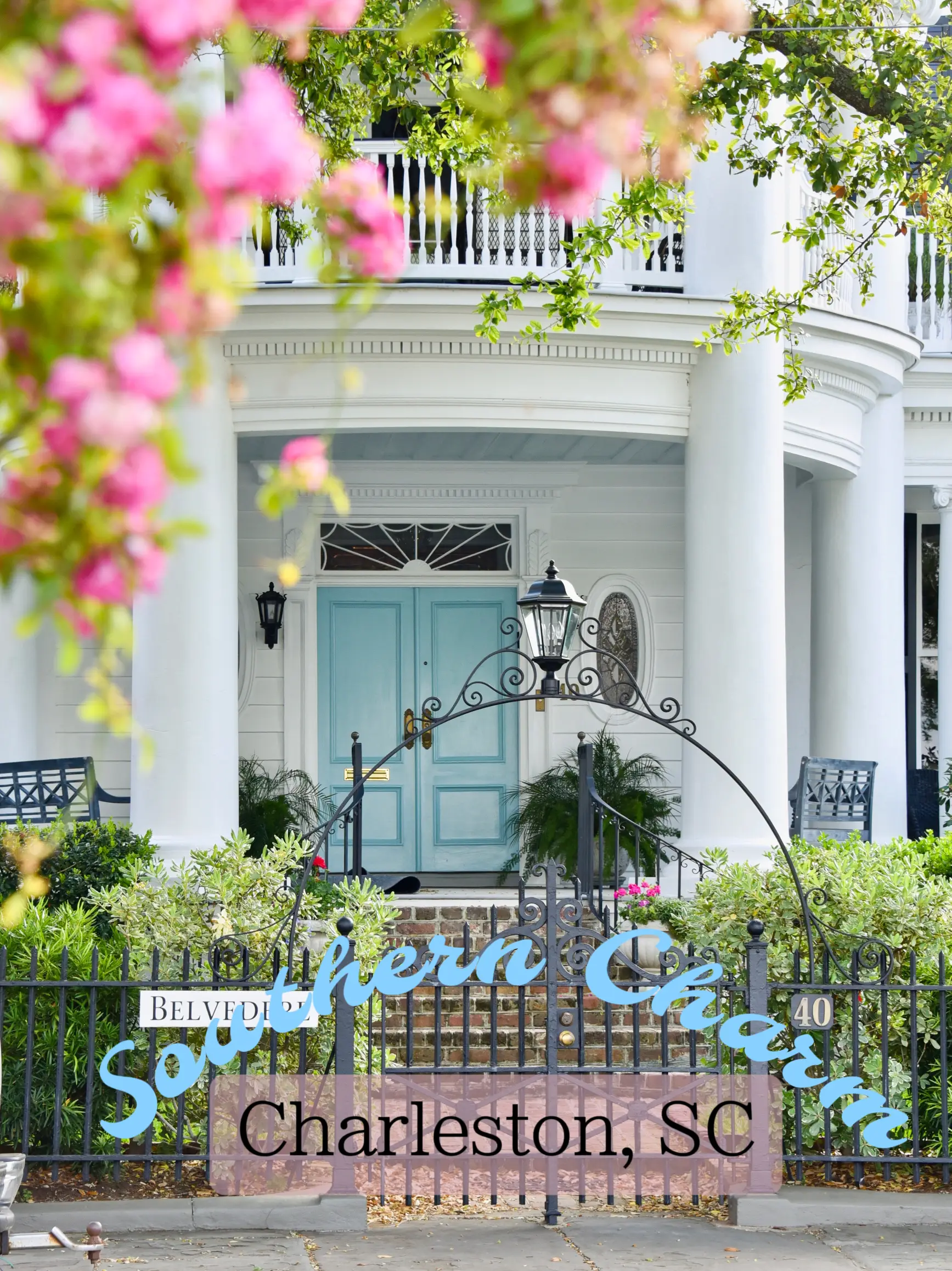 Southern Charm Experiences in Charleston - Lemon8 Search