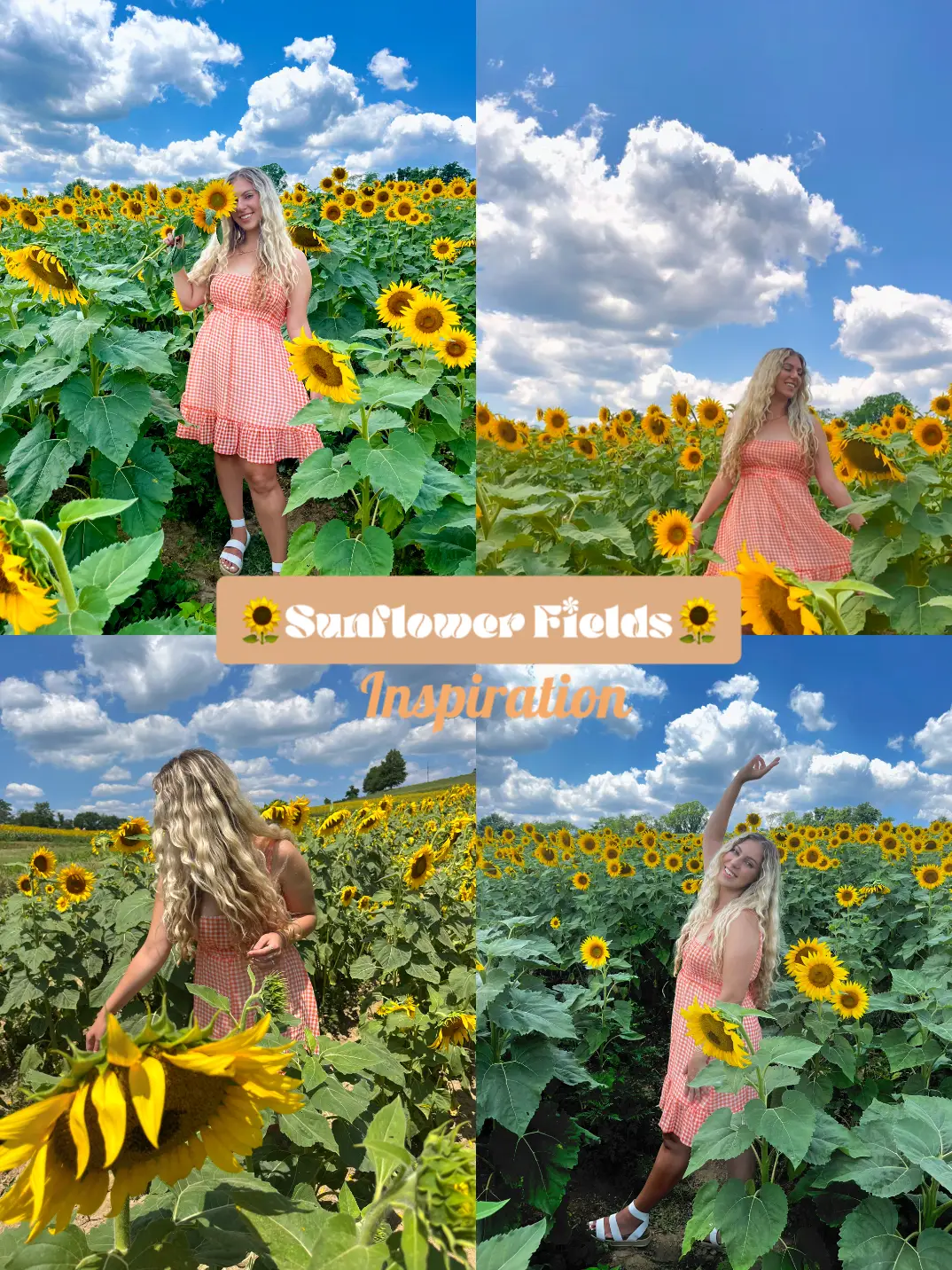 Sunflower Fields | Photo Inspo | Gallery posted by Cynthia | Lemon8