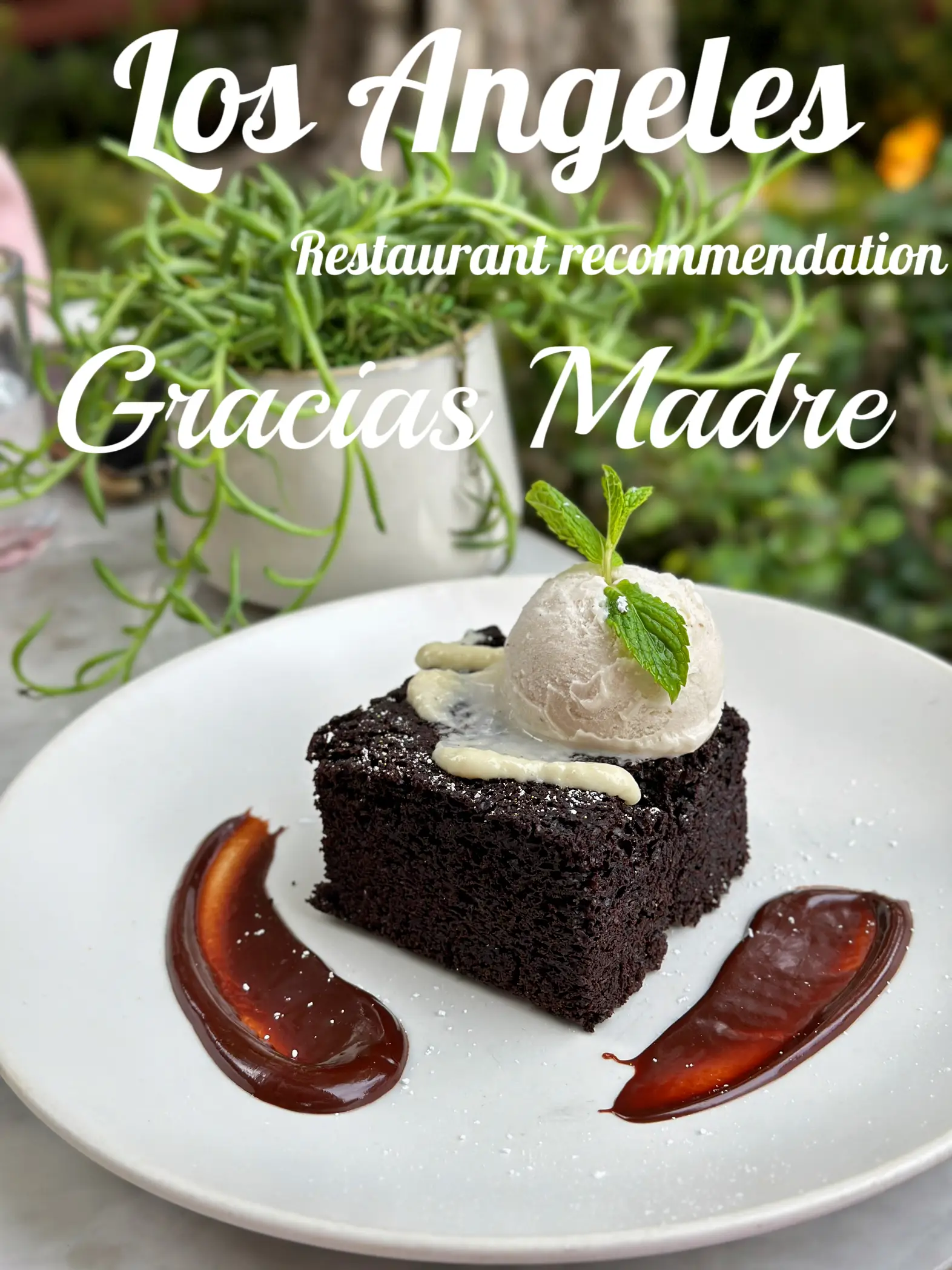 LA restaurant recommendation 🤍 Gracias Madre's images
