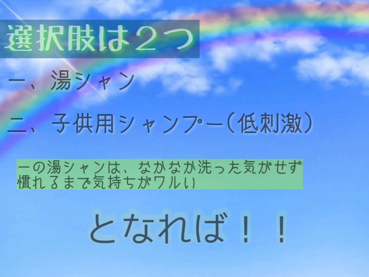 はげ シャンプー 仕方 人気