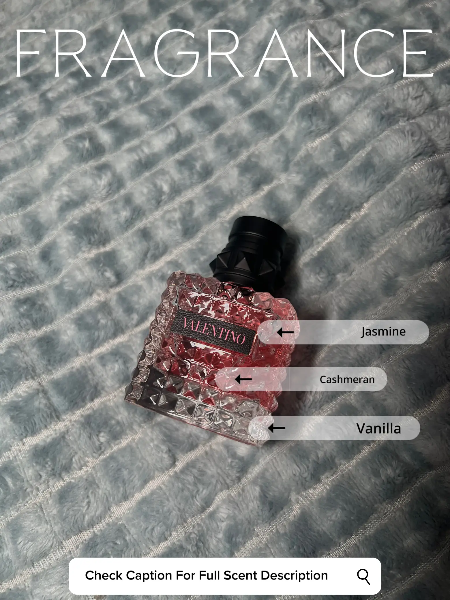 Valentino perfume online notes