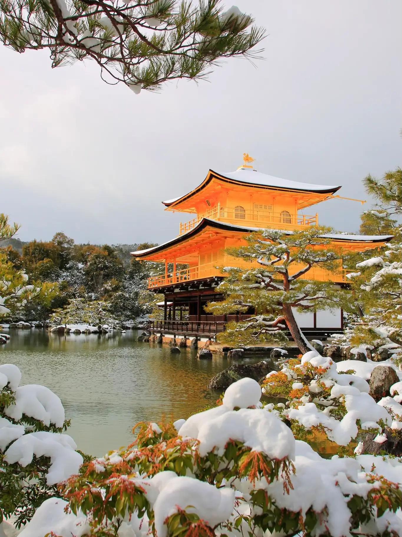 京都】雪景色の金閣寺 | チサトが投稿したフォトブック | Lemon8