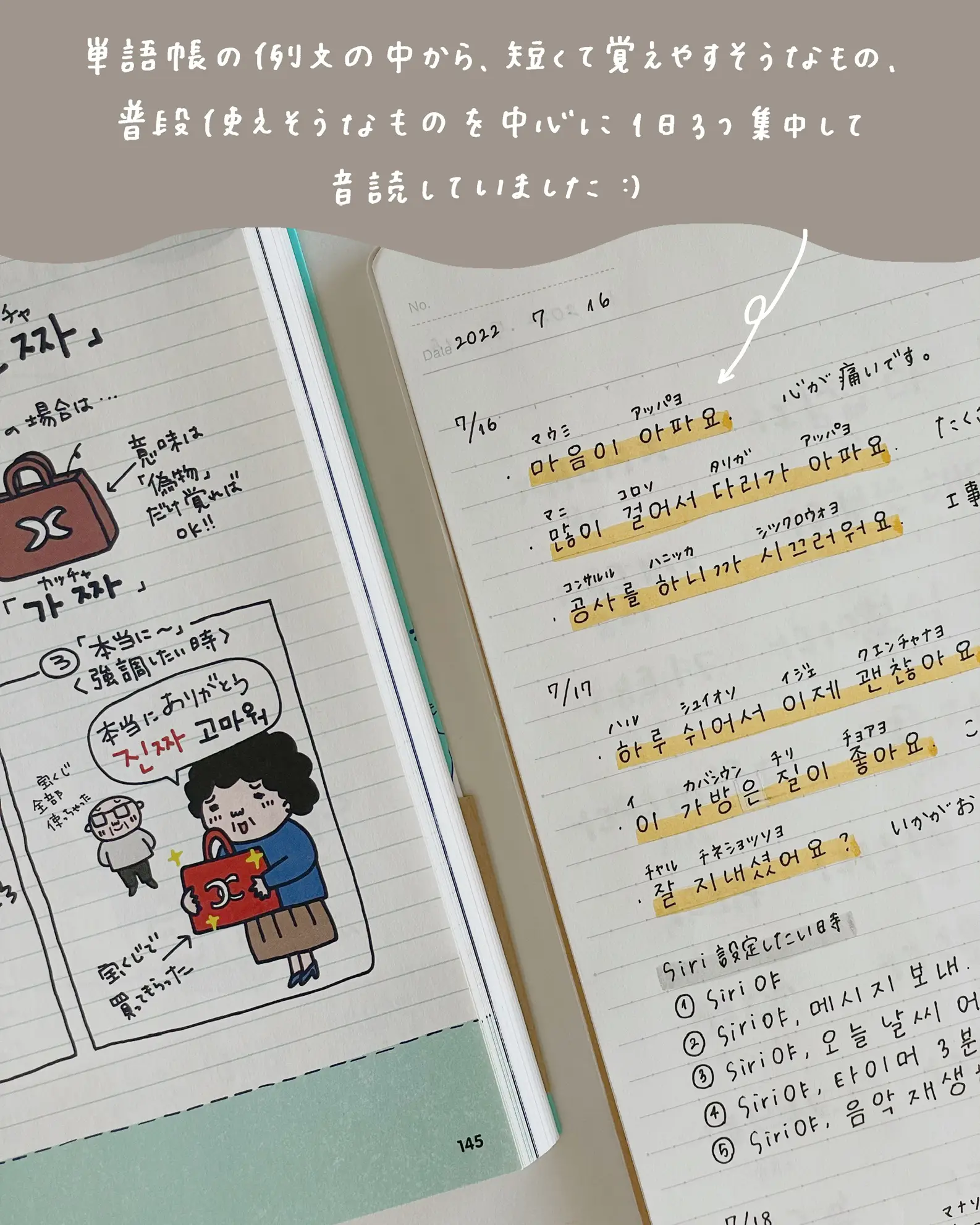 韓国語勉強ノート作り方 - Lemon8検索