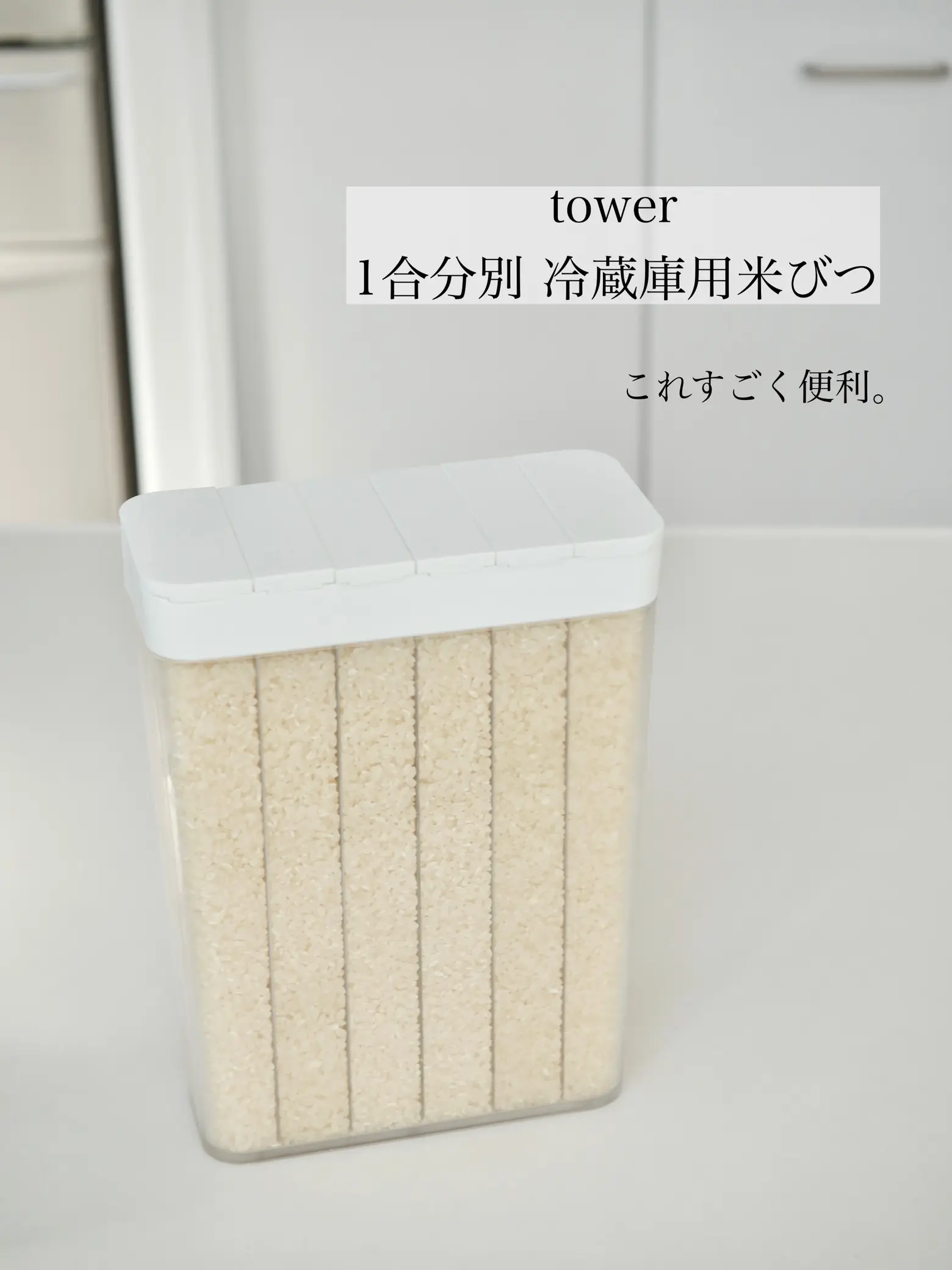 農家または、非常時の食品備蓄に最適な家庭用米保管庫 結か