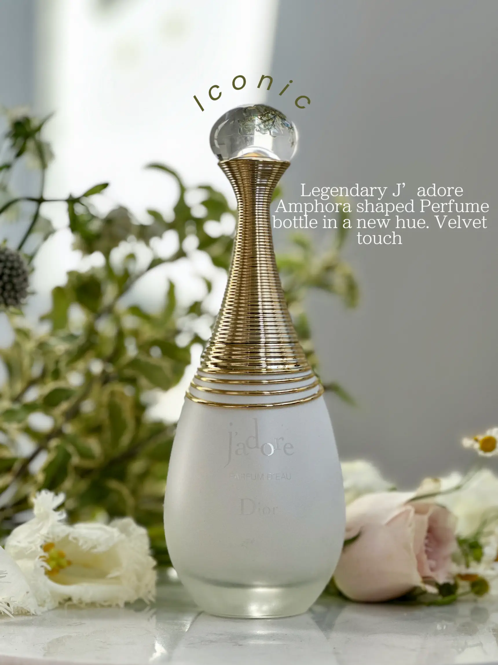 Dior Amphora Bottles 