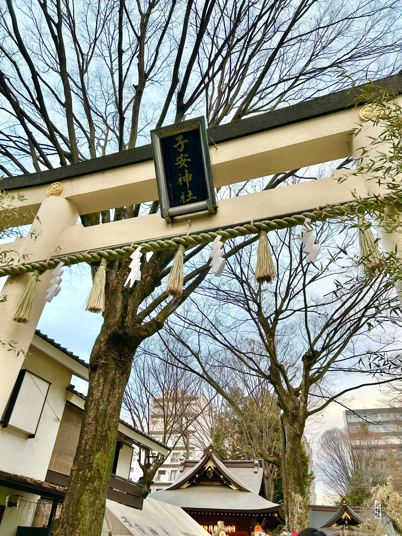 ⛩子安神社@東京都八王子市｜毎月集めたい❣️カラフルな見開き御朱印が可愛い神社 | mokuri⛩全国御朱印ガイドが投稿したフォトブック |  Lemon8