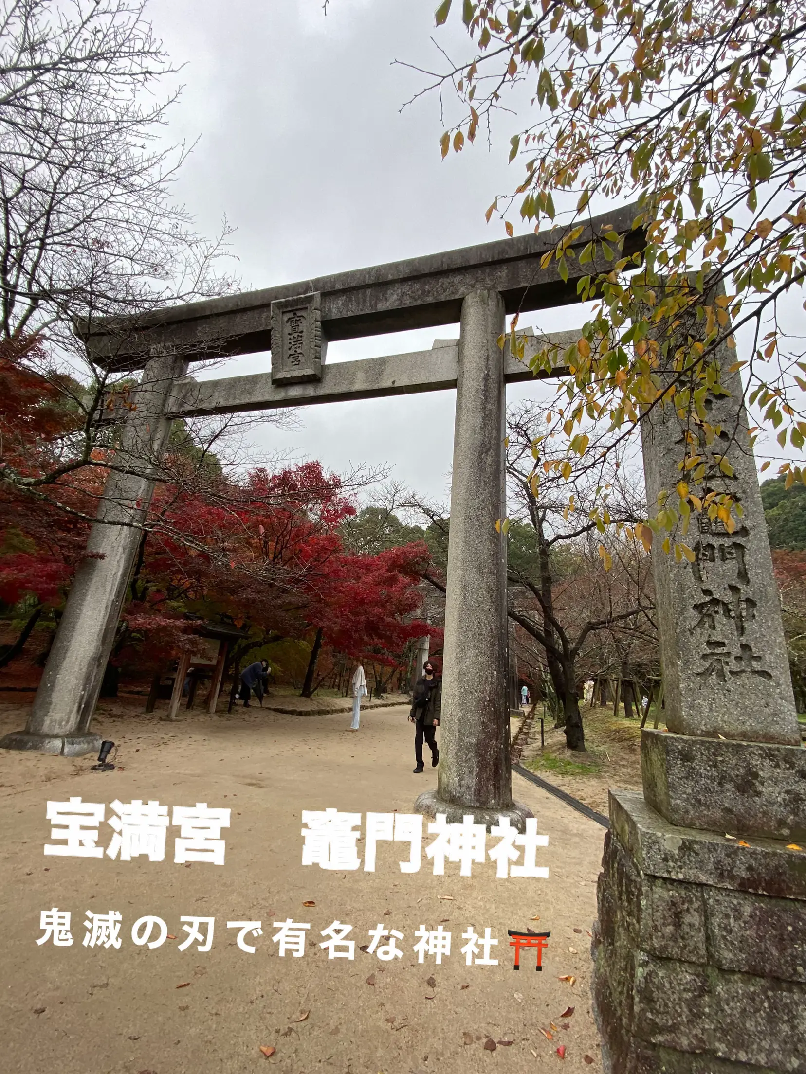 福岡の鬼滅の刃で有名な神社⛩ | Sachi7032が投稿したフォトブック | Lemon8