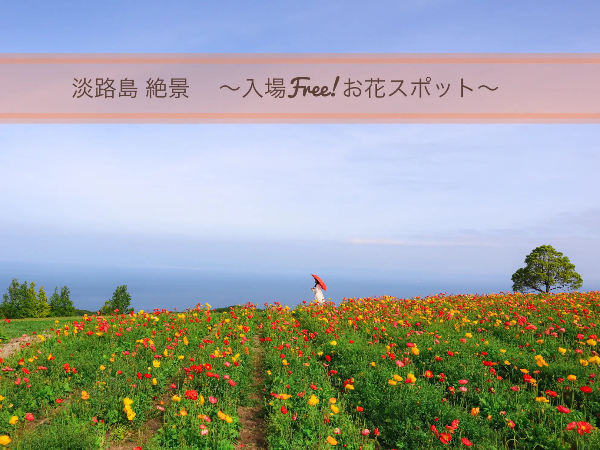 AWAJI】絶景！海と空が見えるお花畑が入園料Free! | 関西旅フォト🧡YUNSATHUが投稿したフォトブック | Lemon8