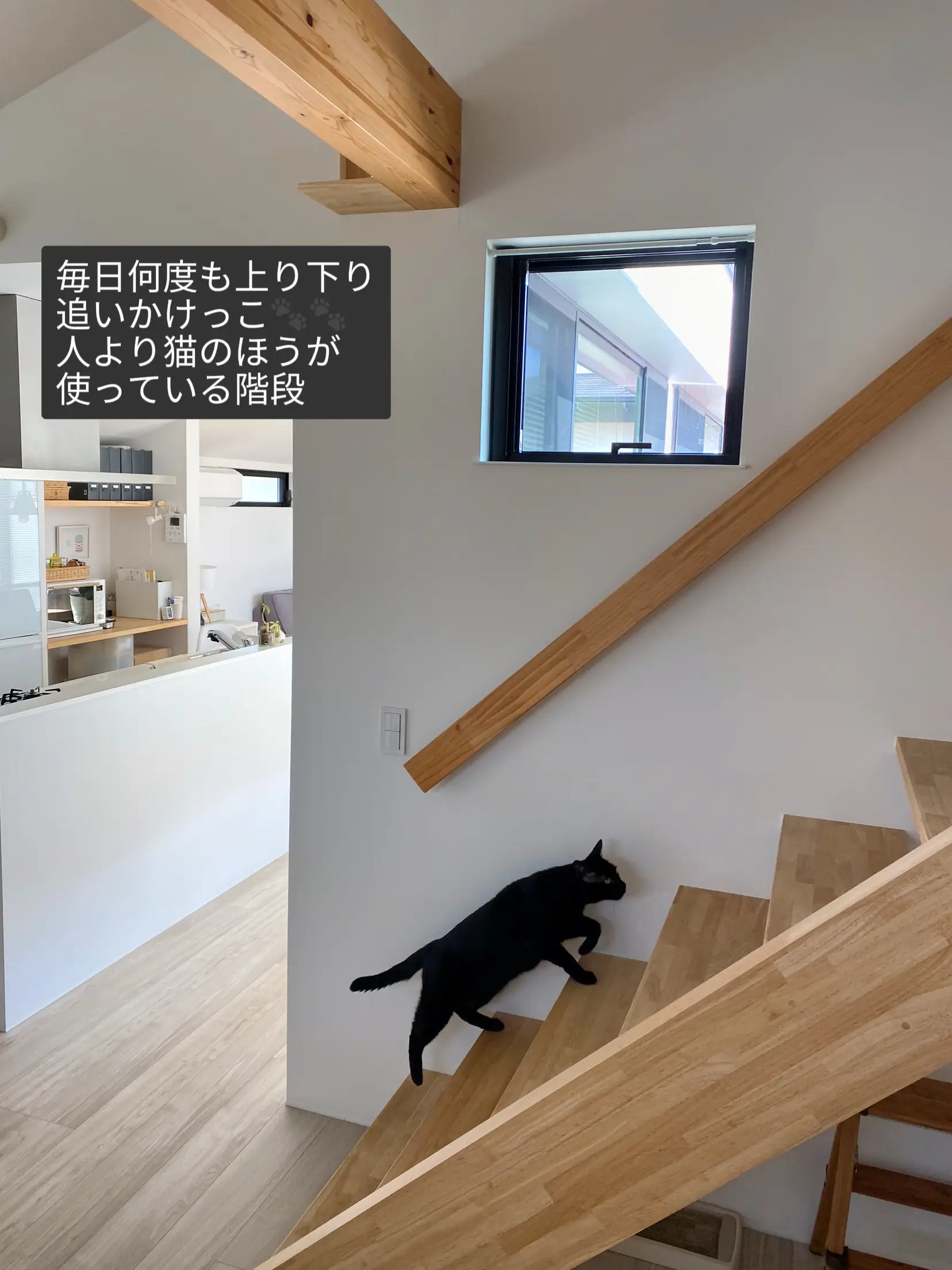 猫たちもお気に入り！スケルトン階段 | Sora /猫との住まいづくりが投稿したフォトブック | Lemon8