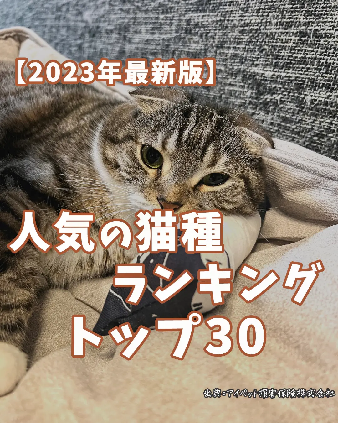 要問合せ♥️猫好きなあなたへ♥️お洒落 美しい猫ちゃん ネコ 置物 