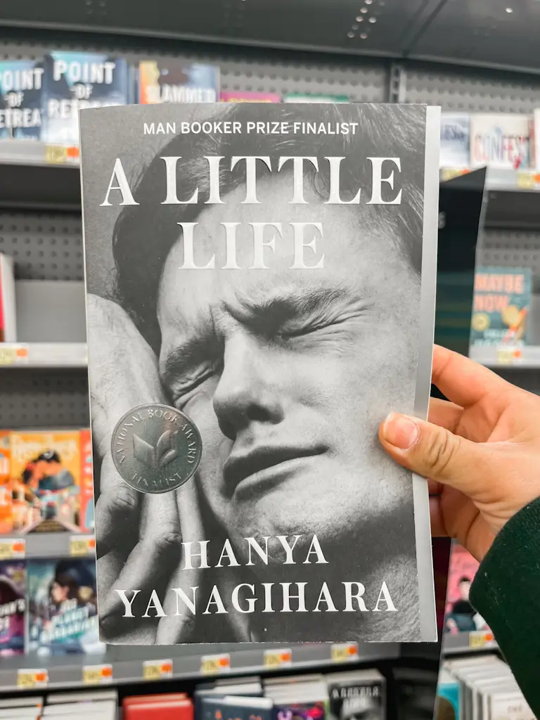 Paned o Gê  A Little Life - Hanya Yanagihara