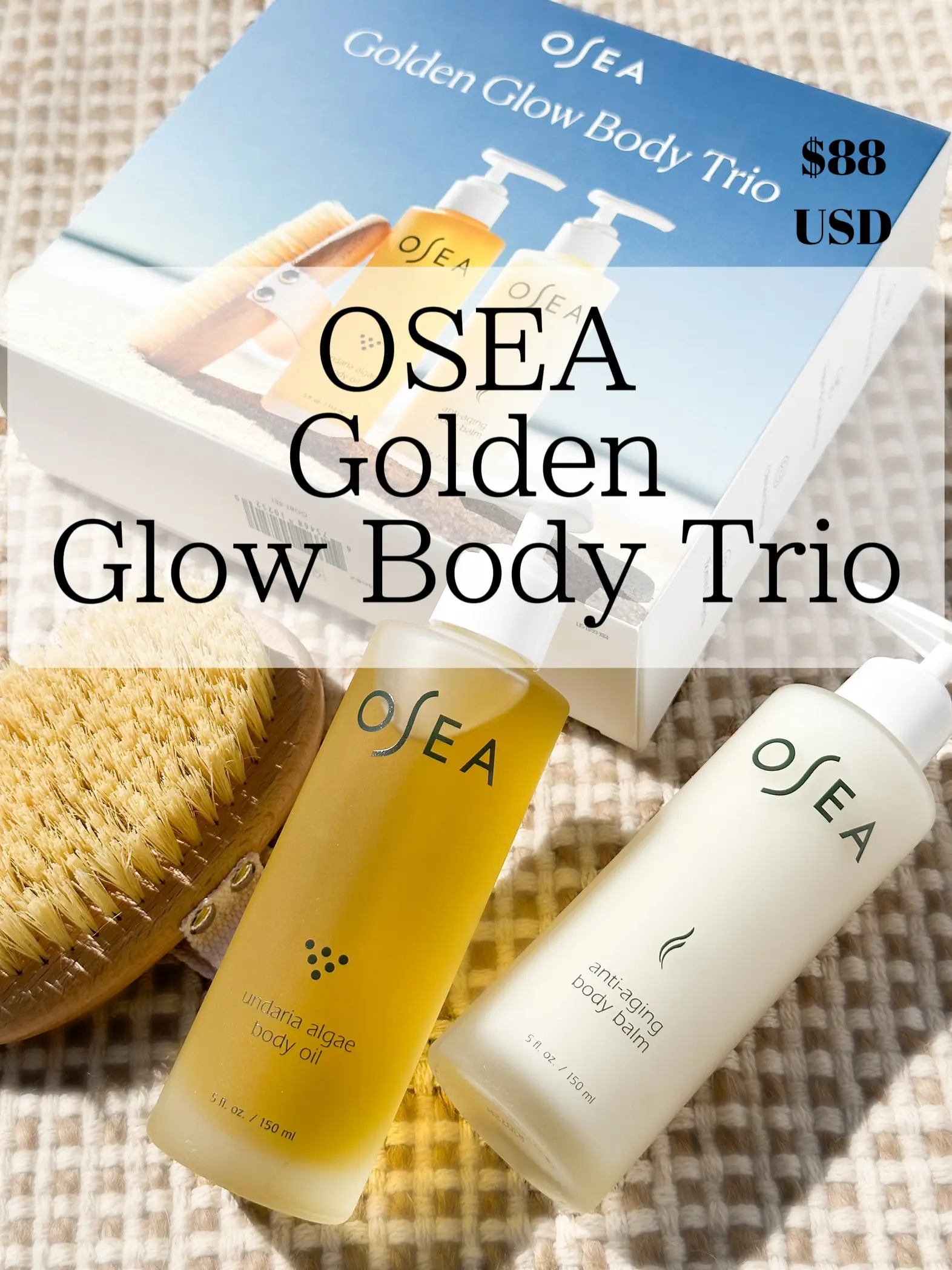 Undaria Body Glow Trio | Body Scrub, Dry Brush & Body Butter | Vegan