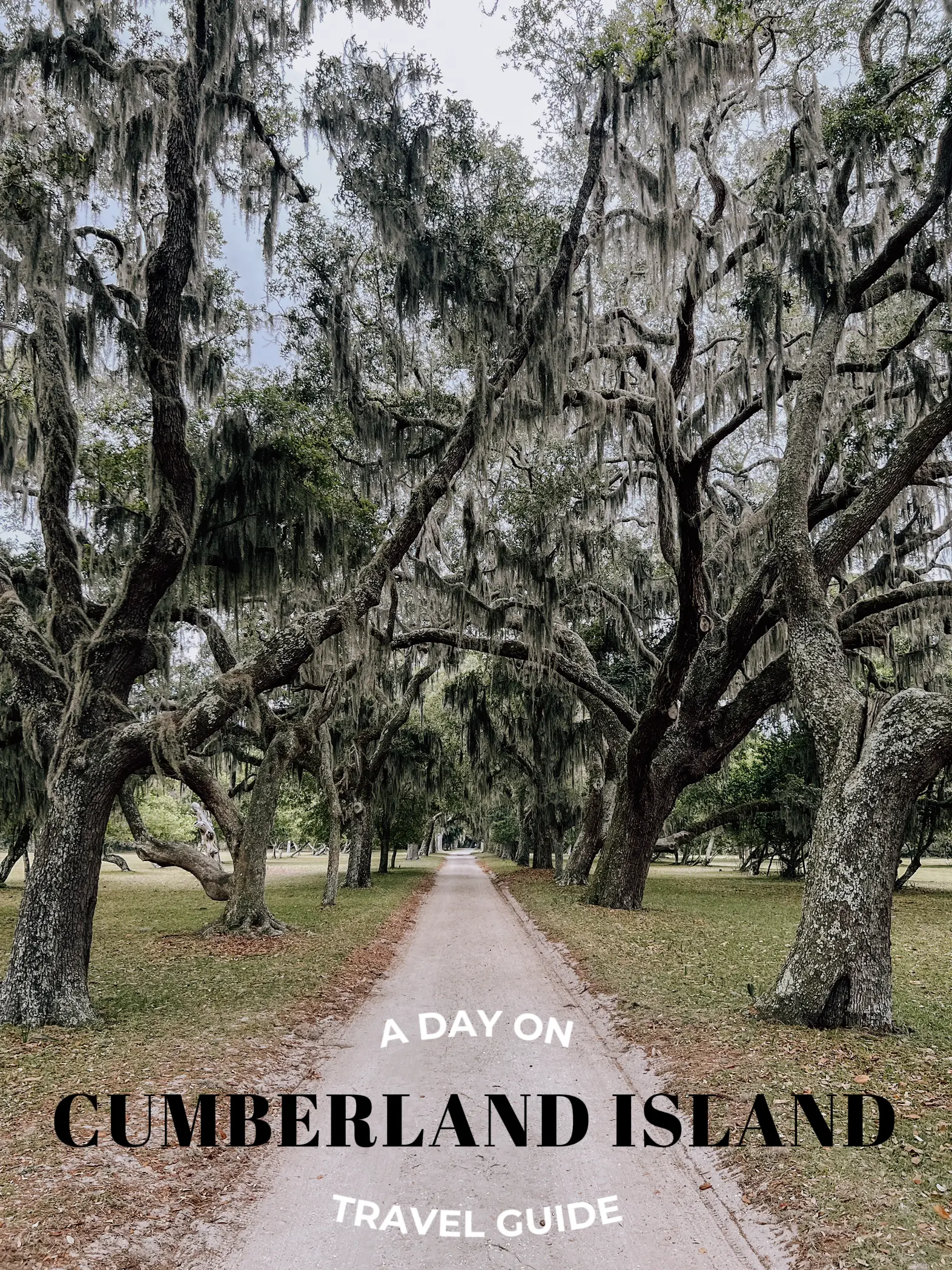 Exploring Georgia’s Cumberland Island | Gallery posted by 24 and Under ...