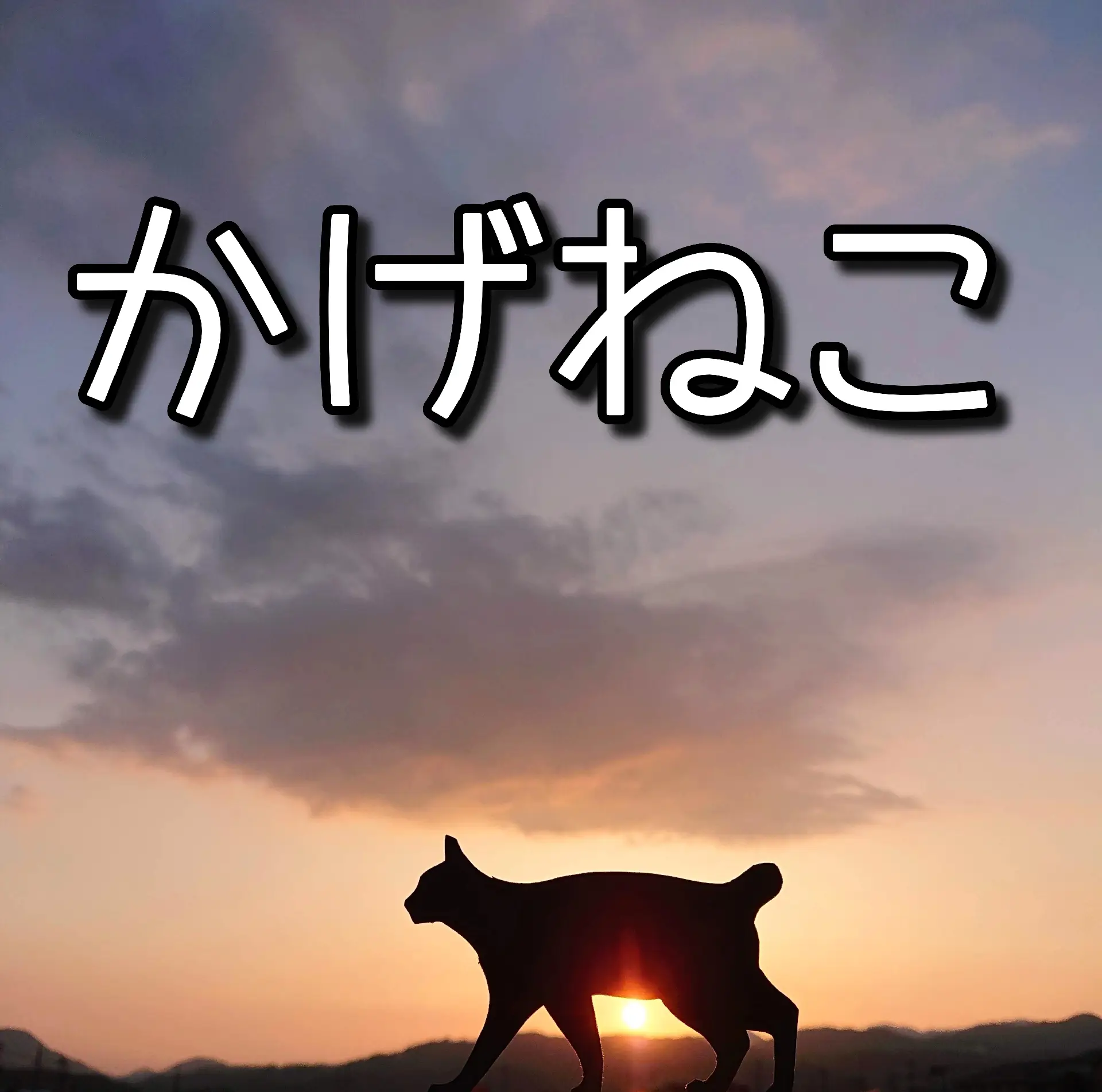 今日のかげねこ | 青空ハンドメイドが投稿したフォトブック | Lemon8