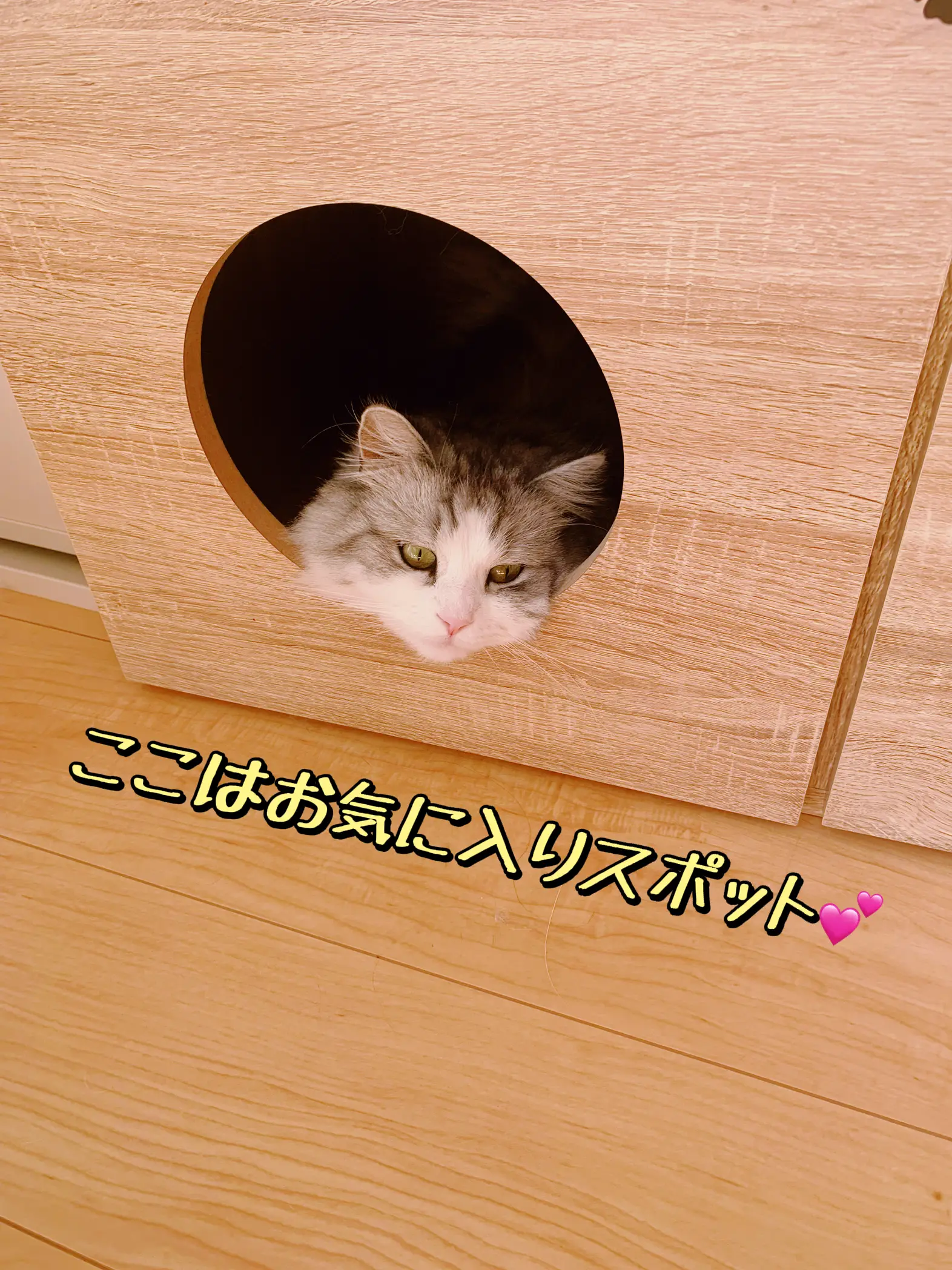 ねこ脱走防止用ゲート（ダンボール未開封）モカ色 贅沢な