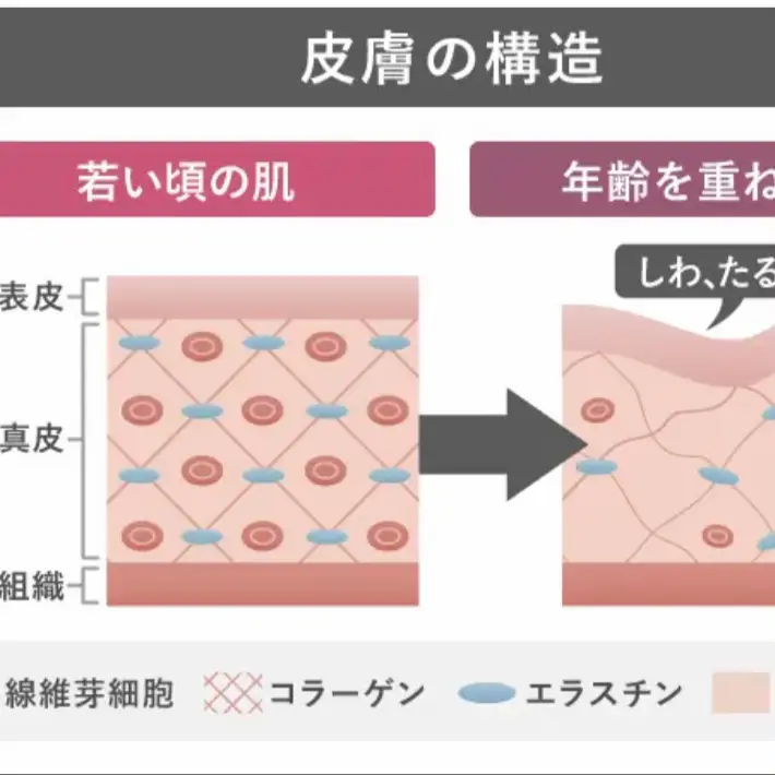 ✨素肌美の豆知識✨ | ^ ^ピカピカ✨が投稿したフォトブック | Lemon8