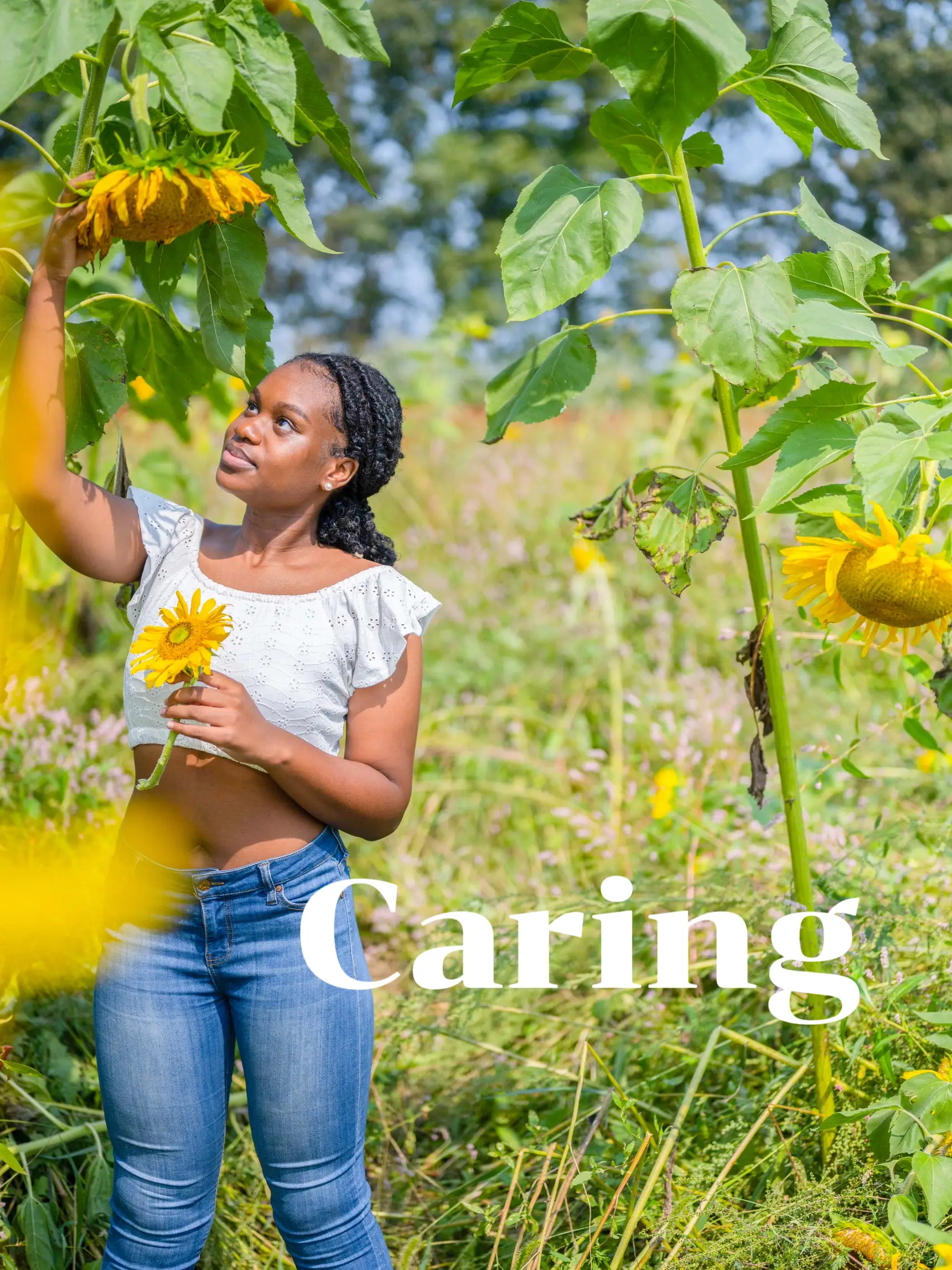 Sunflower Field Jeans