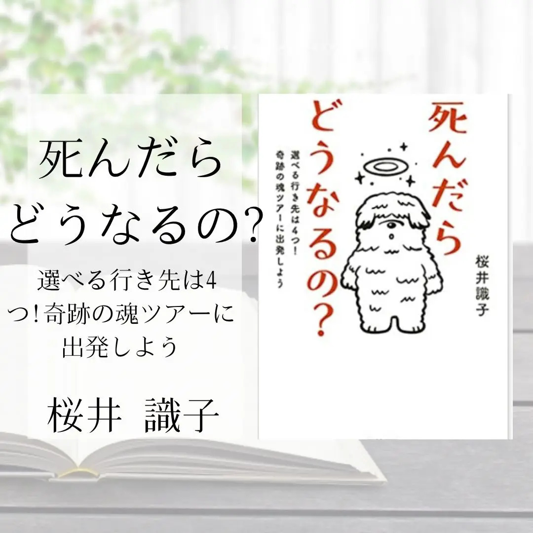 死んだらどうなるの? 選べる行き先は4つ!奇跡の魂ツアーに出発しよう