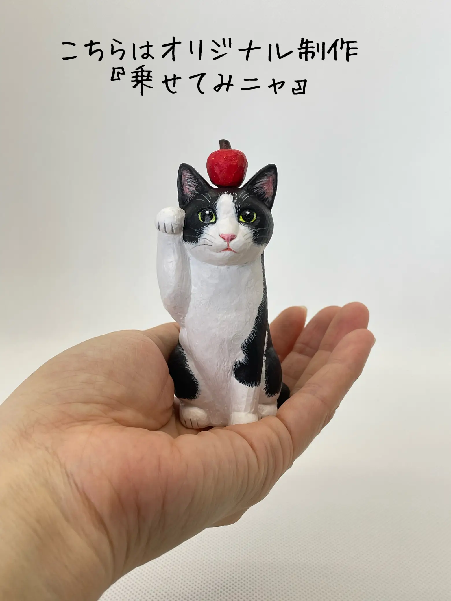 白黒模様の猫さん達 | ヒトミコ HITOMIKOが投稿したフォトブック | Lemon8