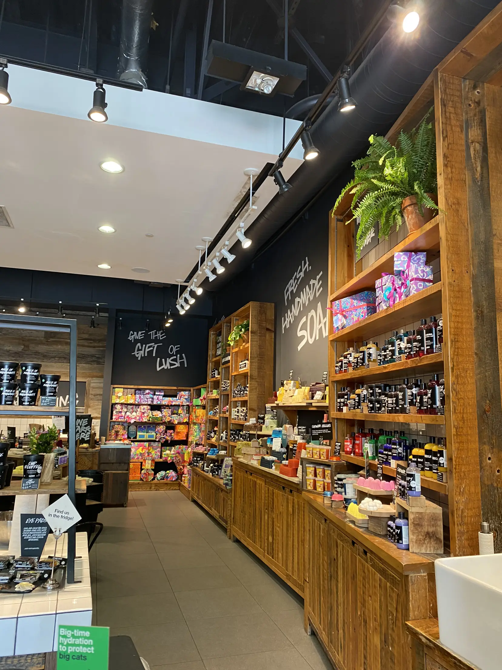  A store with a green sign that says "The Gift of Lush".