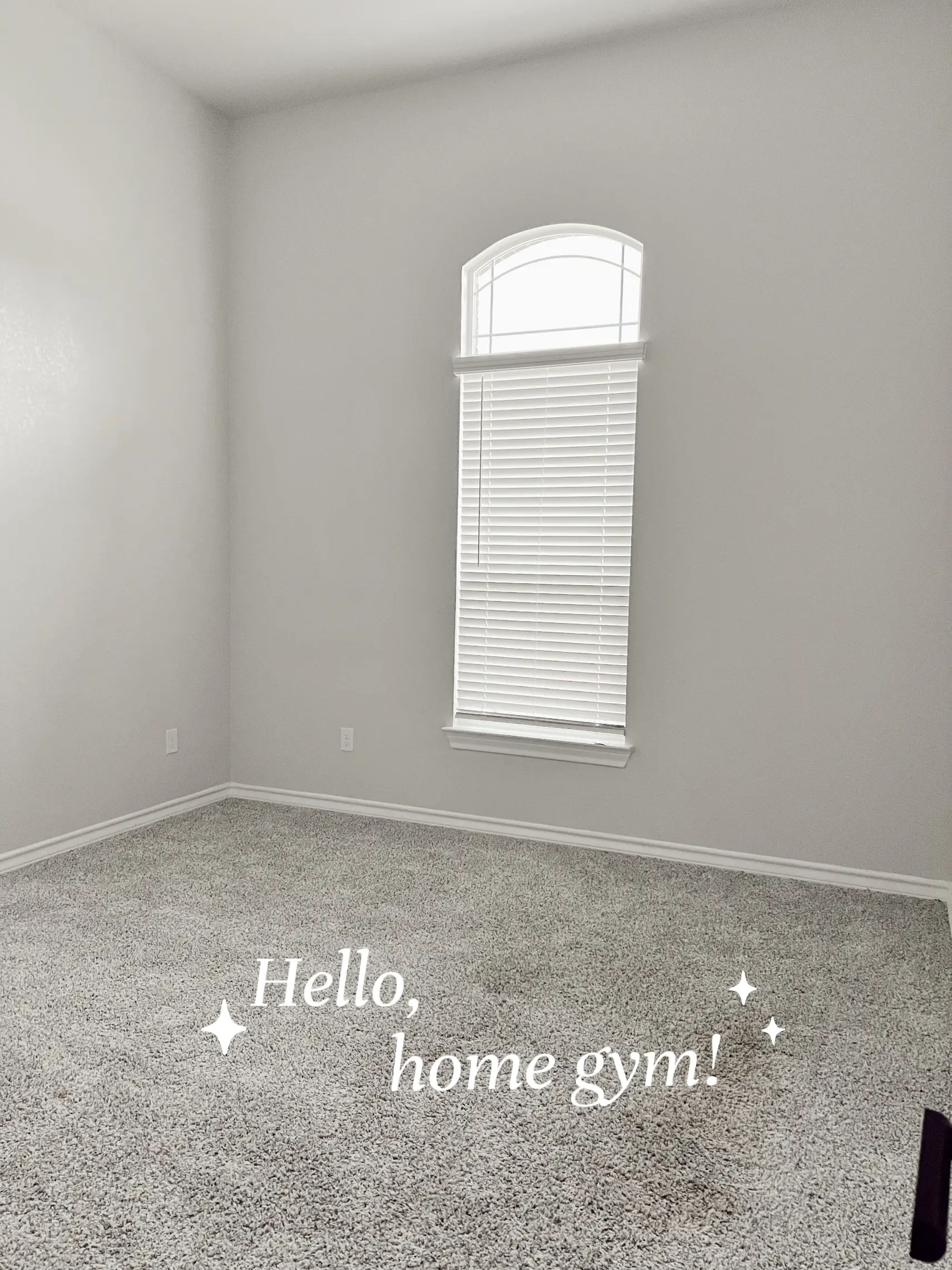 Home gym discount in carpeted room