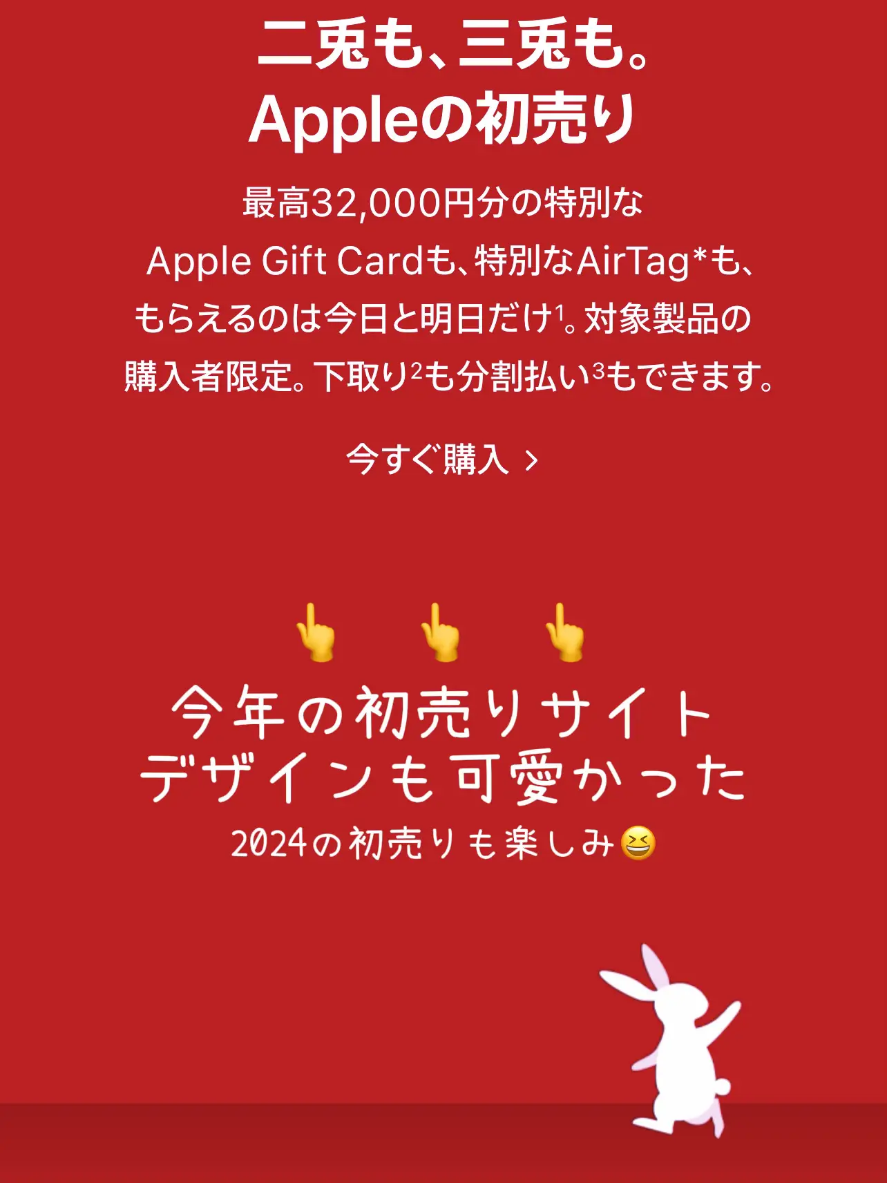 appleさん購入画面 か細い